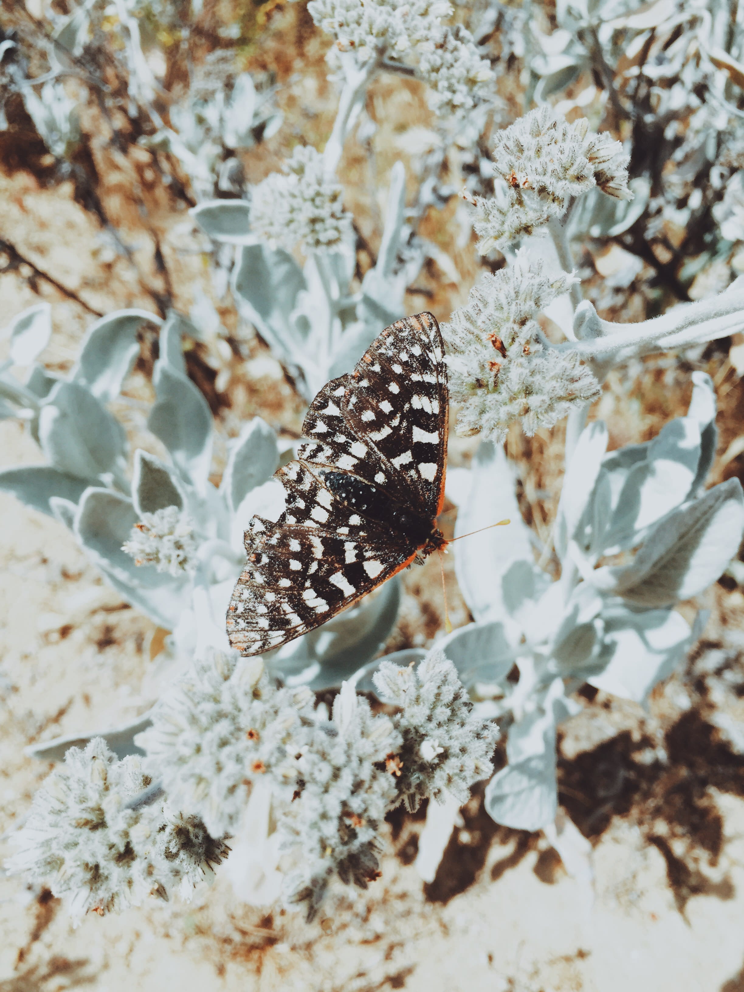Santa Margarita Lake Recreation Area