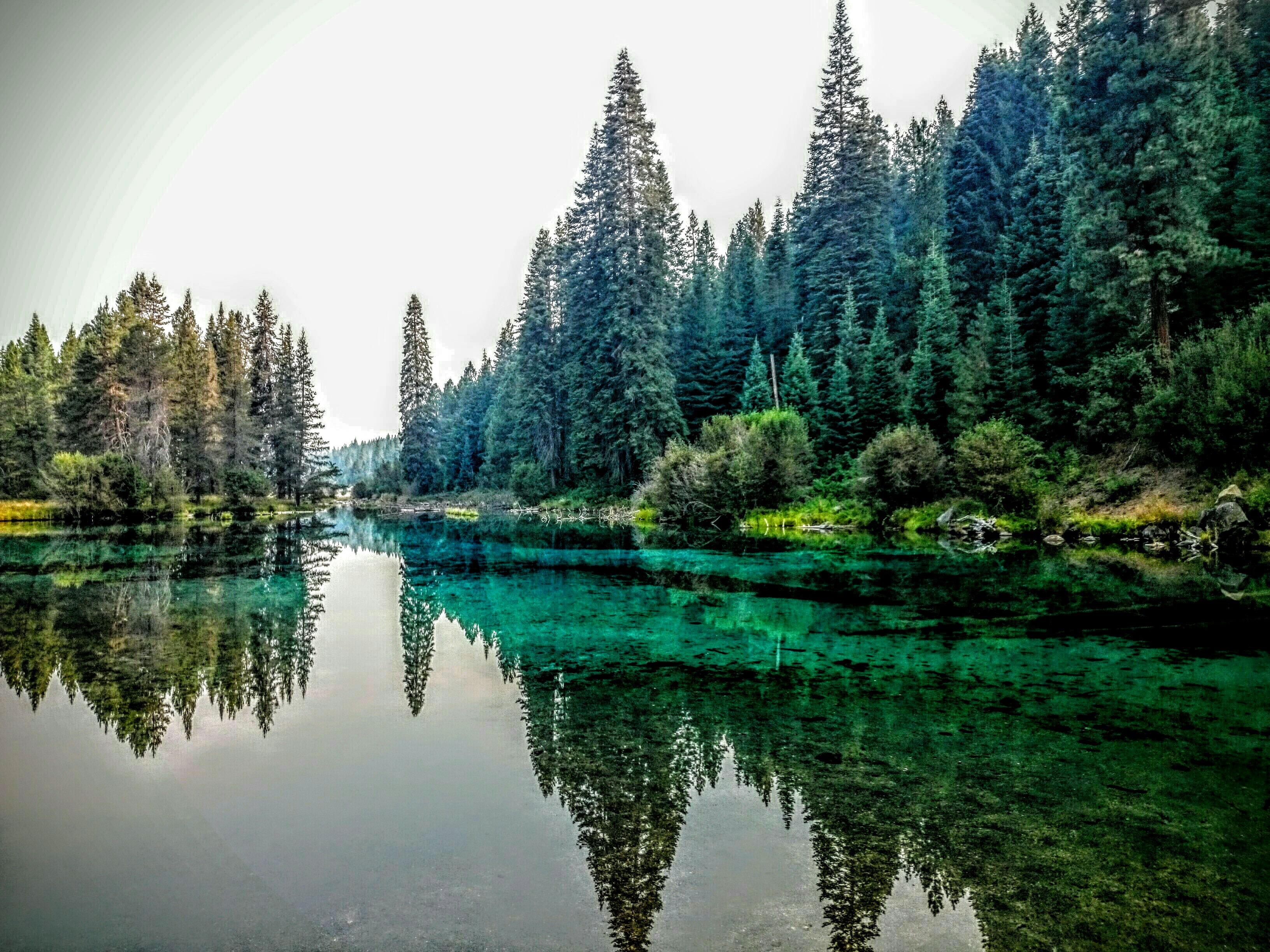 Wake up in the morning and hang your hammock lakeside for this view.