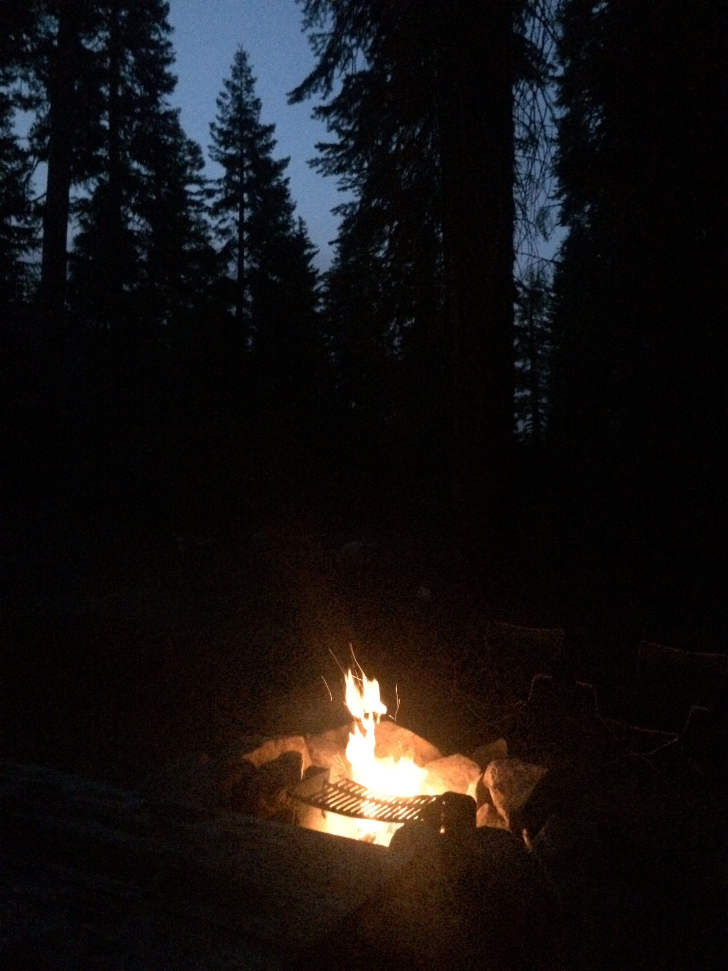 Dorst Creek Campground