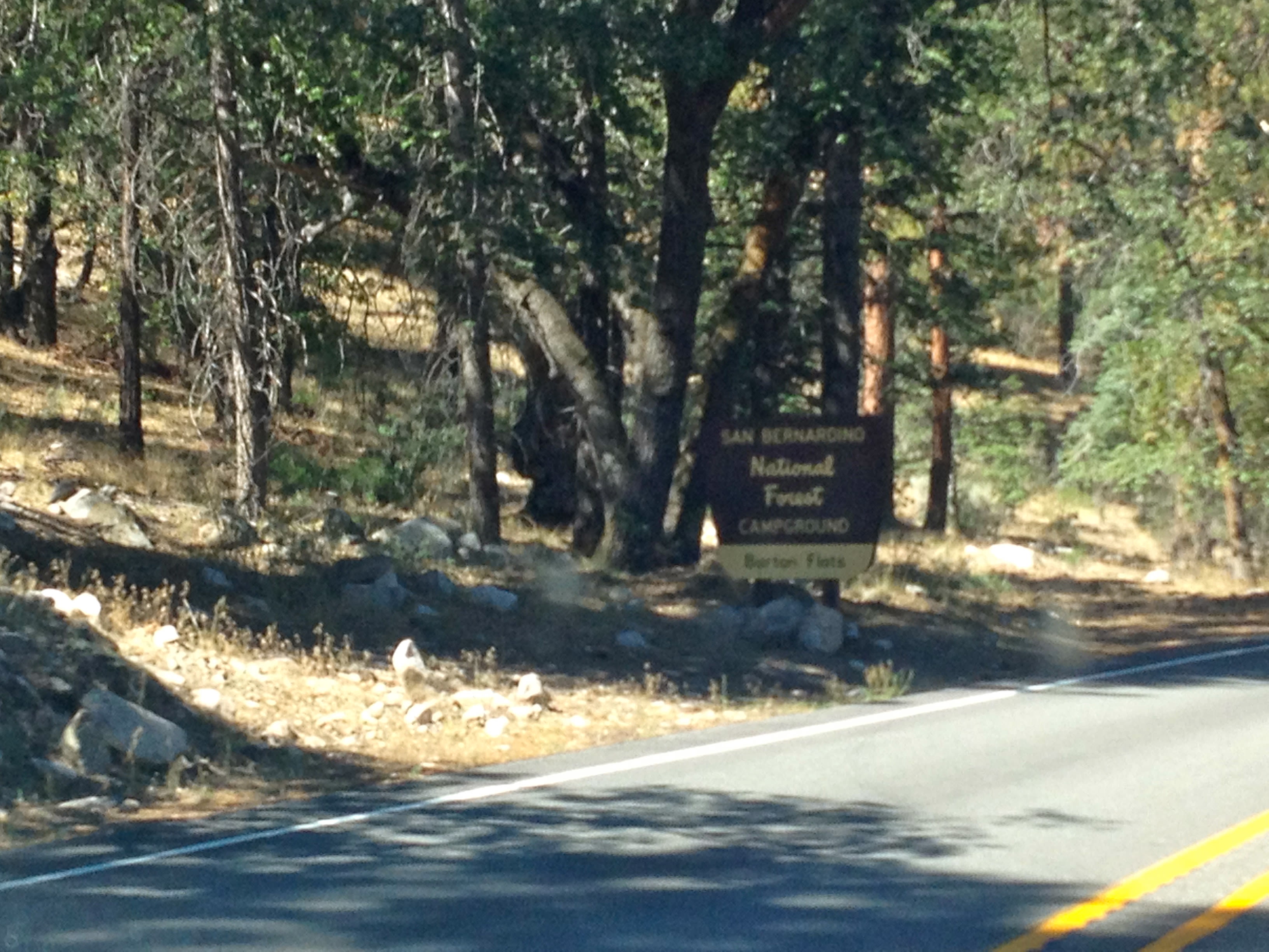 San Gorgonio Campground