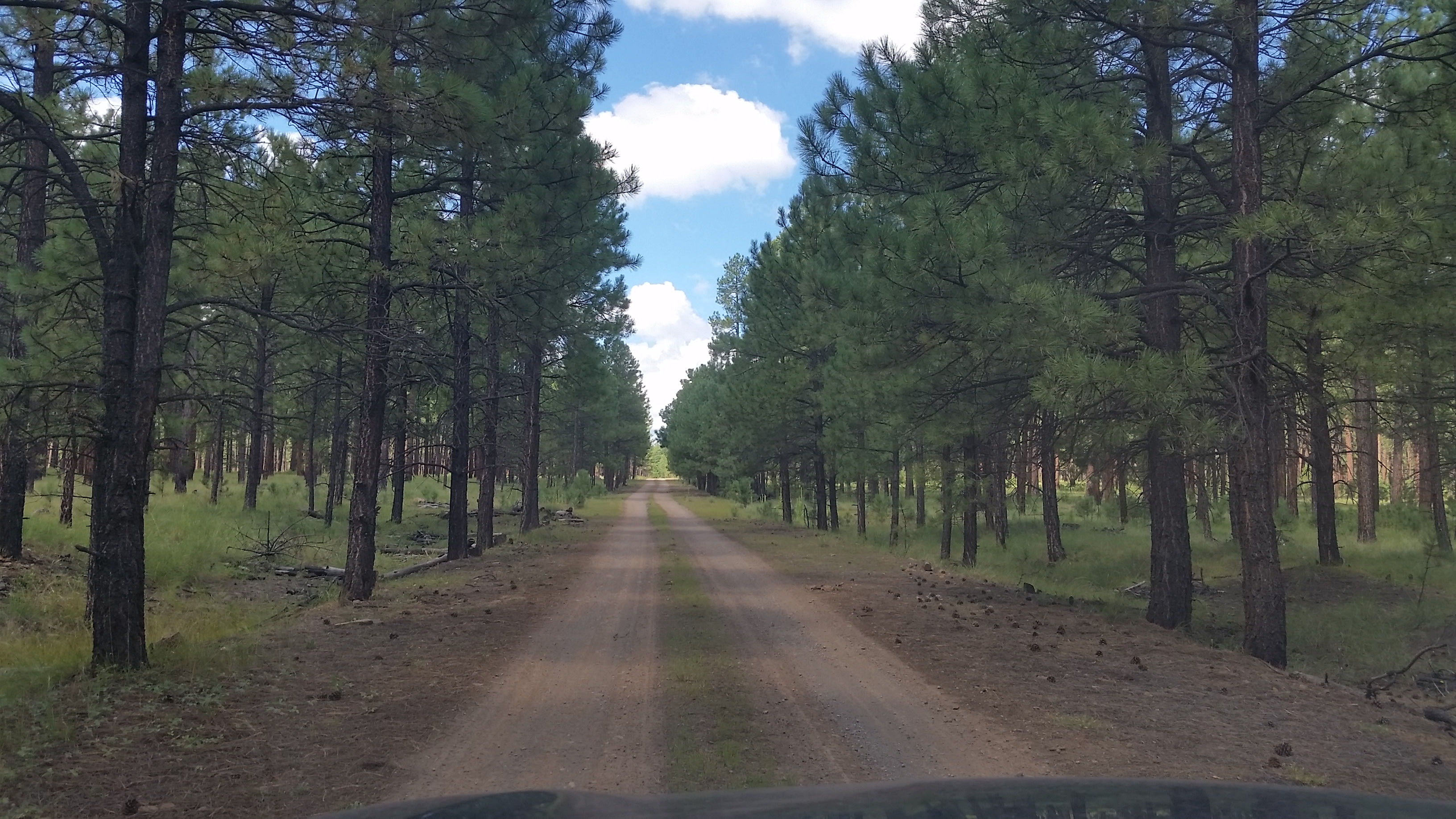 Nearby dirt roads