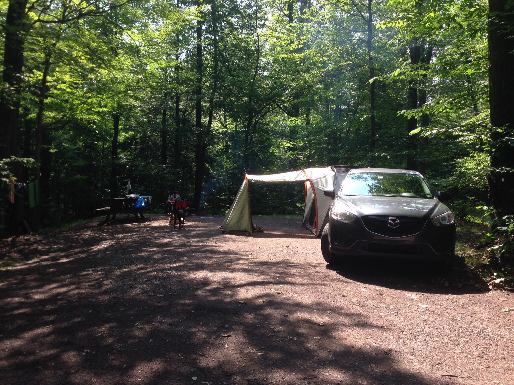 Camp - Nestled against the woods with plenty of space in between sites.