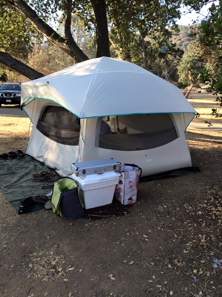 Site 133. Shade! Glorious shade!