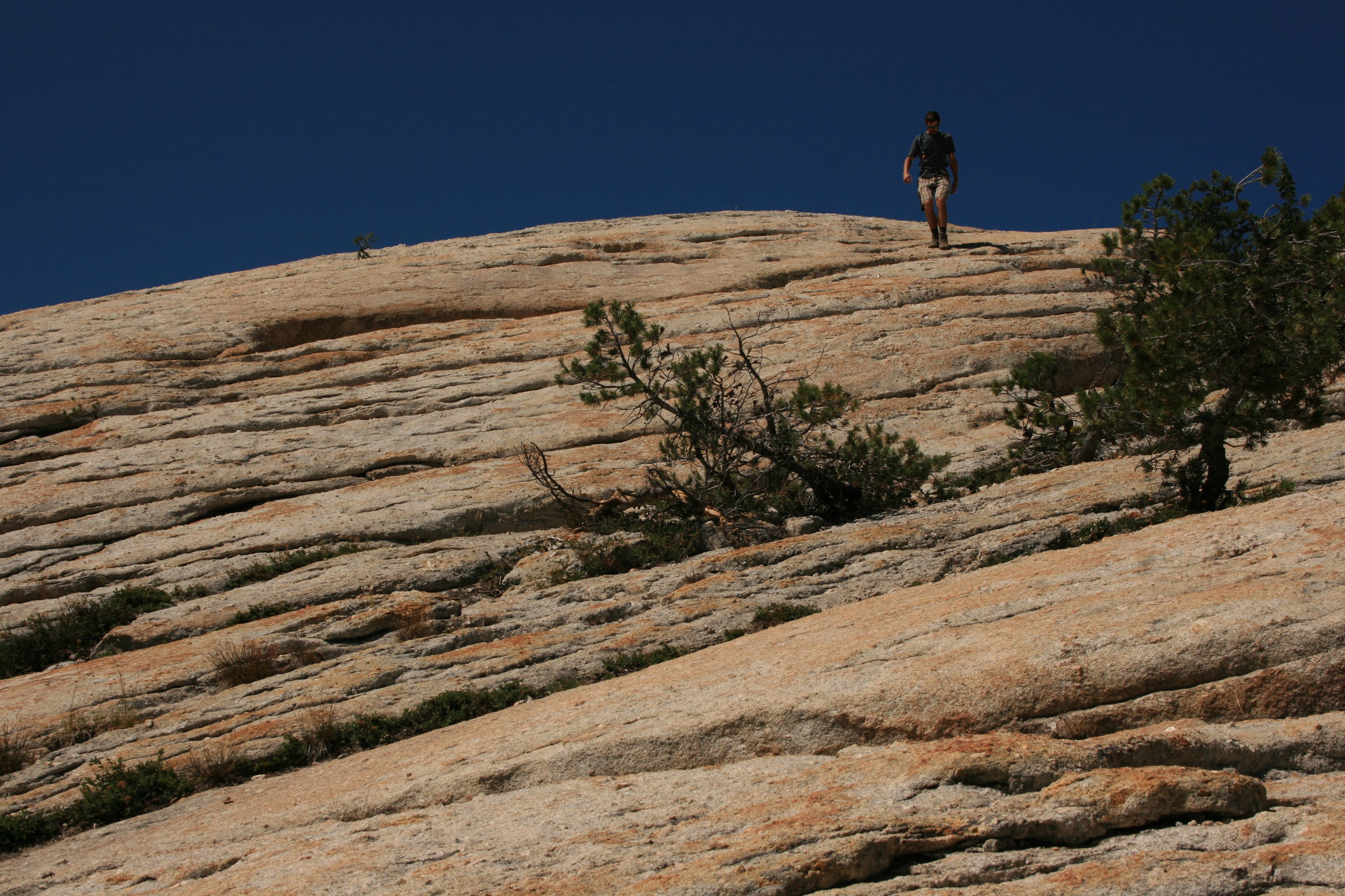 Lambert Dome - nice hike near Porcupine Flat