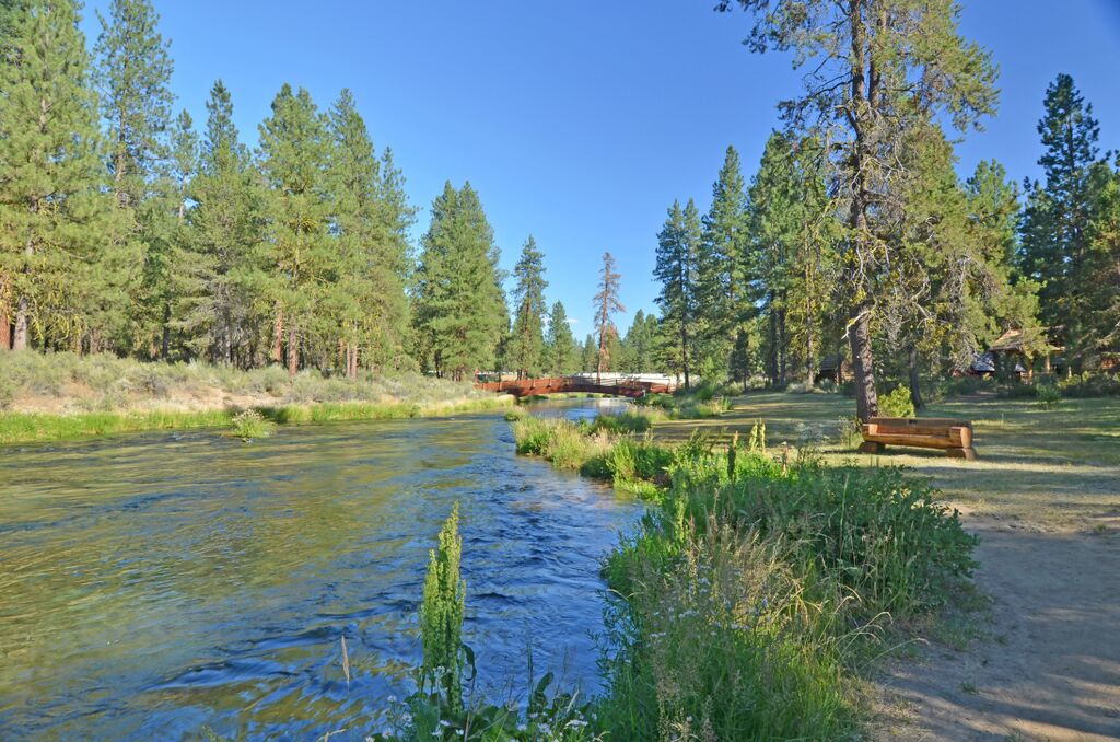 Collier Memorial State Park
