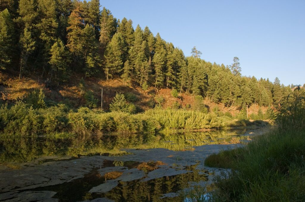 Hilgard Junction State Park