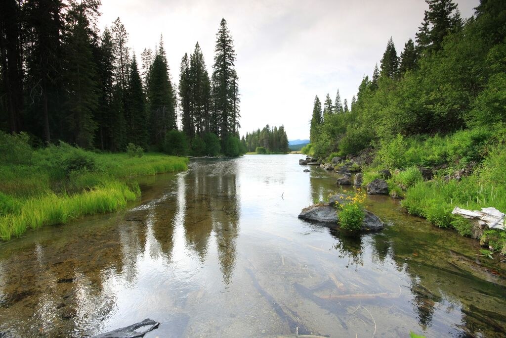 Jackson F. Kimball State Recreation Site