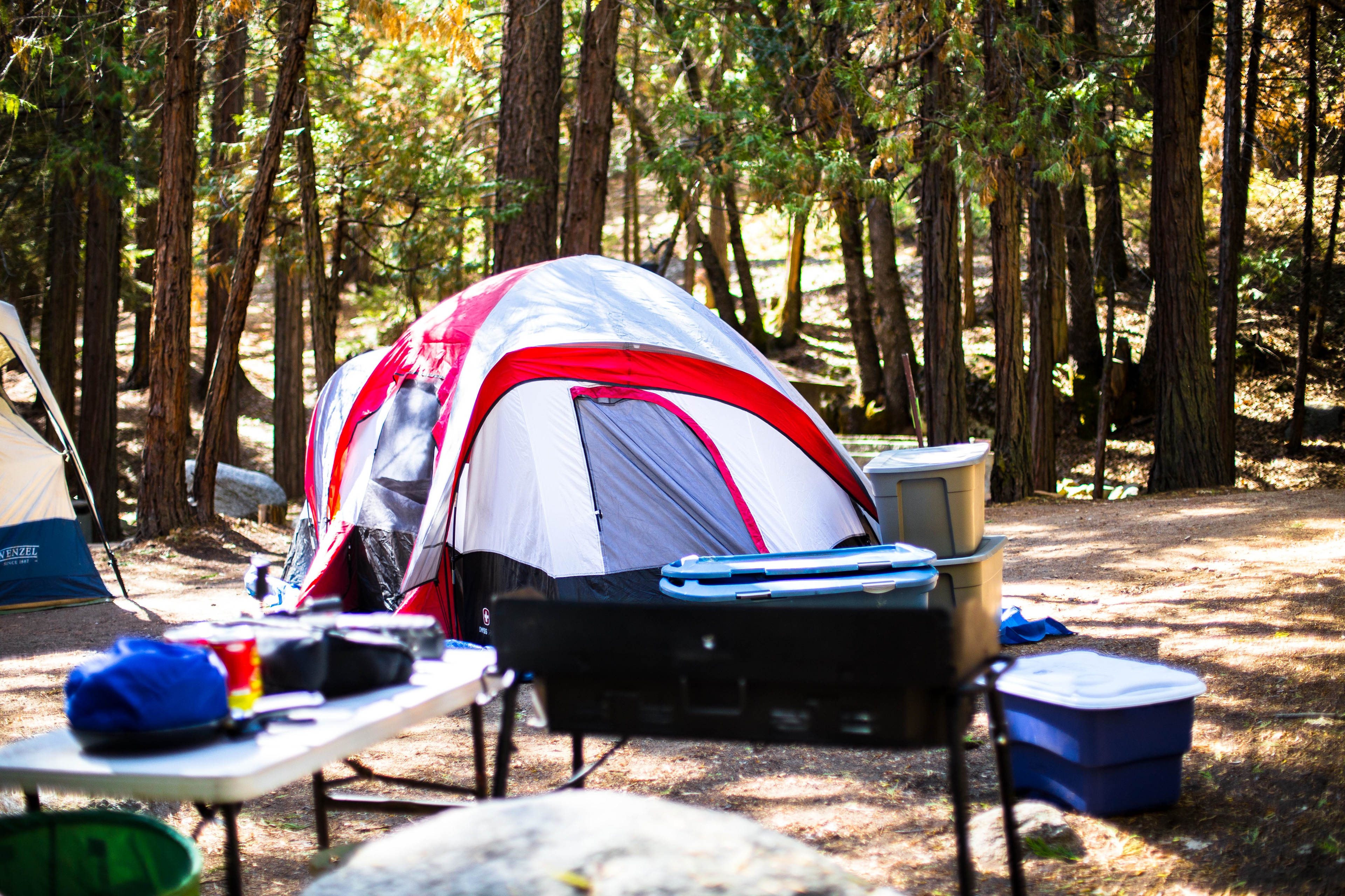Rocks, trees, nature all around, absolutely beautiful
