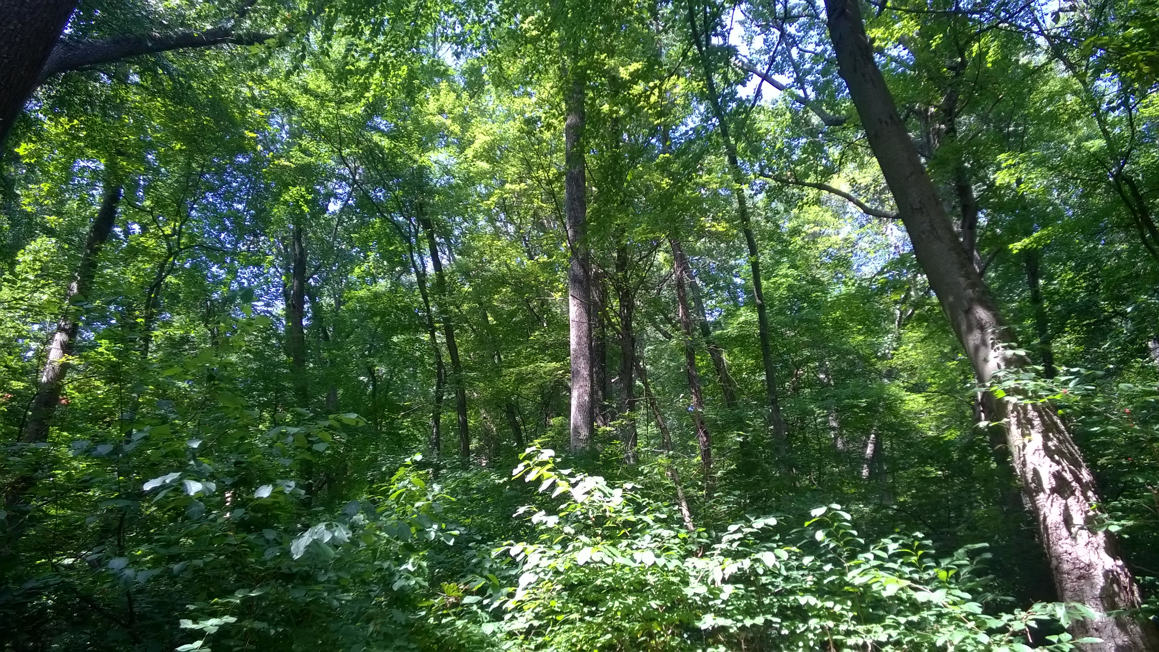 September, 2015  Site 50