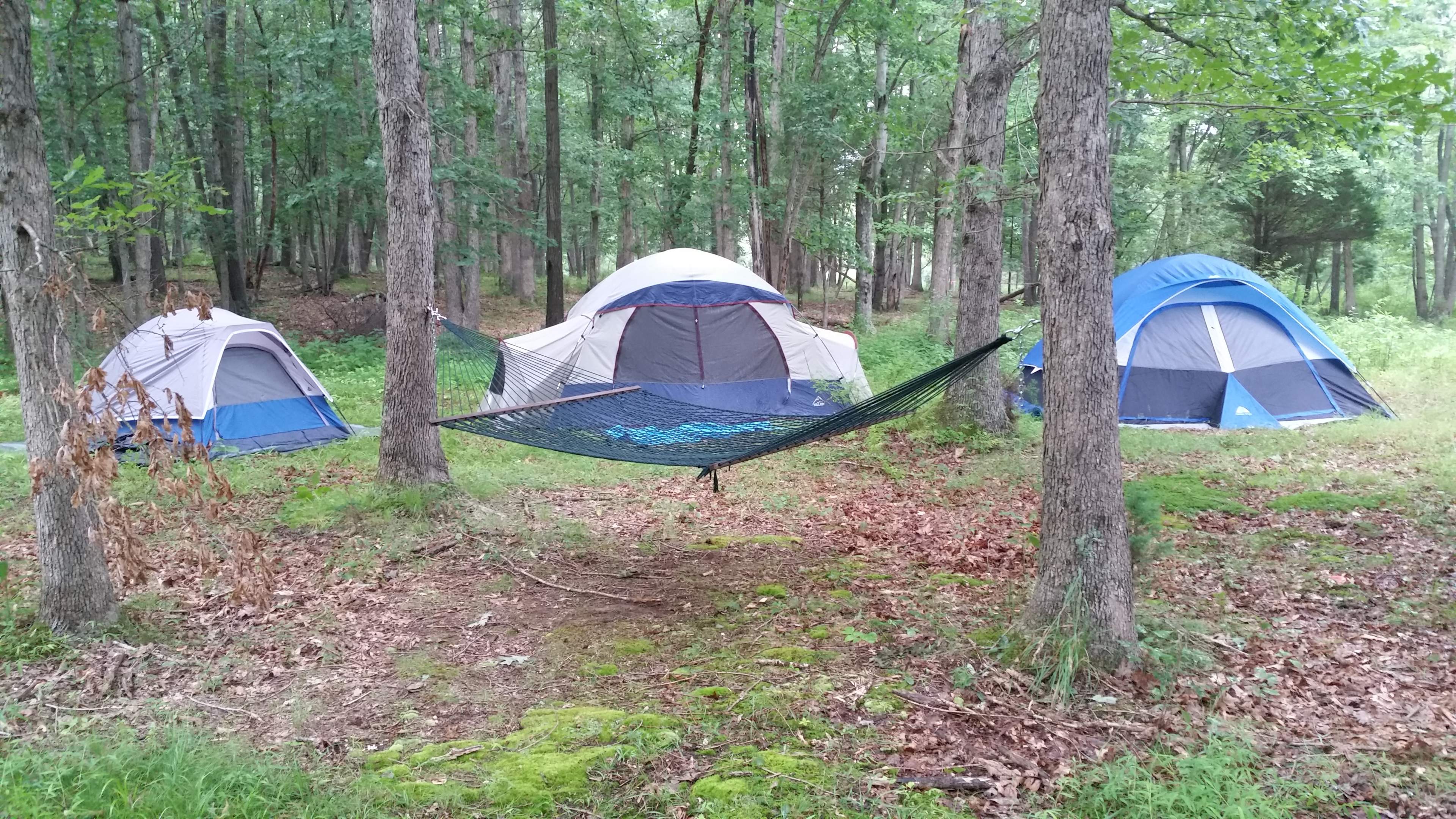 Nothing like a tent and a hammock!
