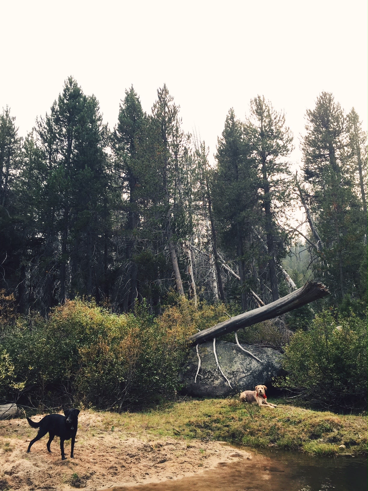 Cooling off in Kaiser Creek after a day on the trail. The creek is easily accessed (and has a nice pool for wading) next to the bridge at the far end of the campground.
