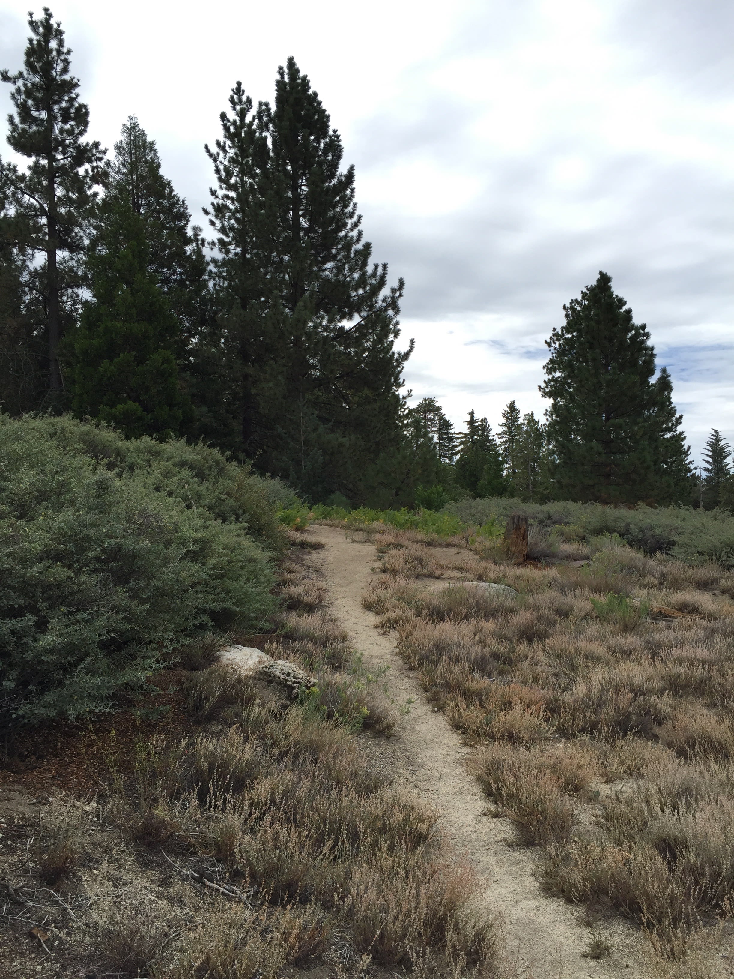 Fern Basin Campground