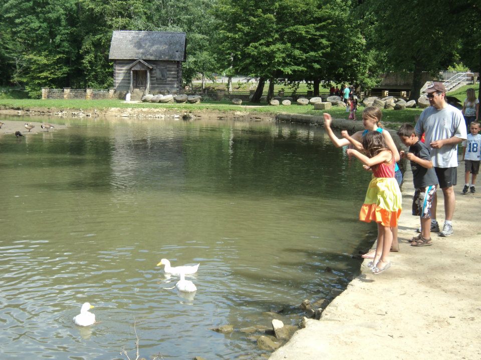 Levi Jackson Wilderness Road State Park