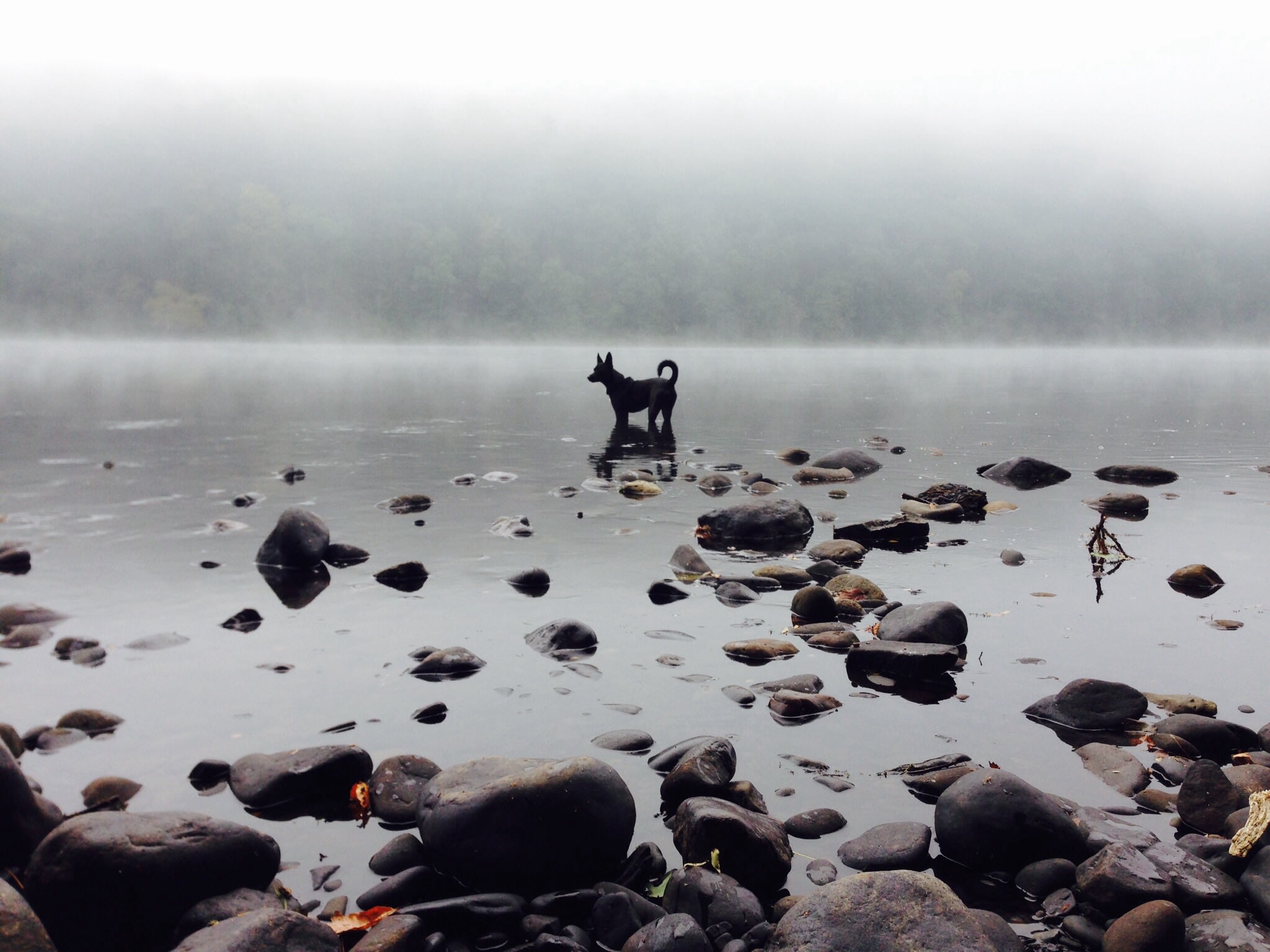 Early morning on the river, just steps from the tent