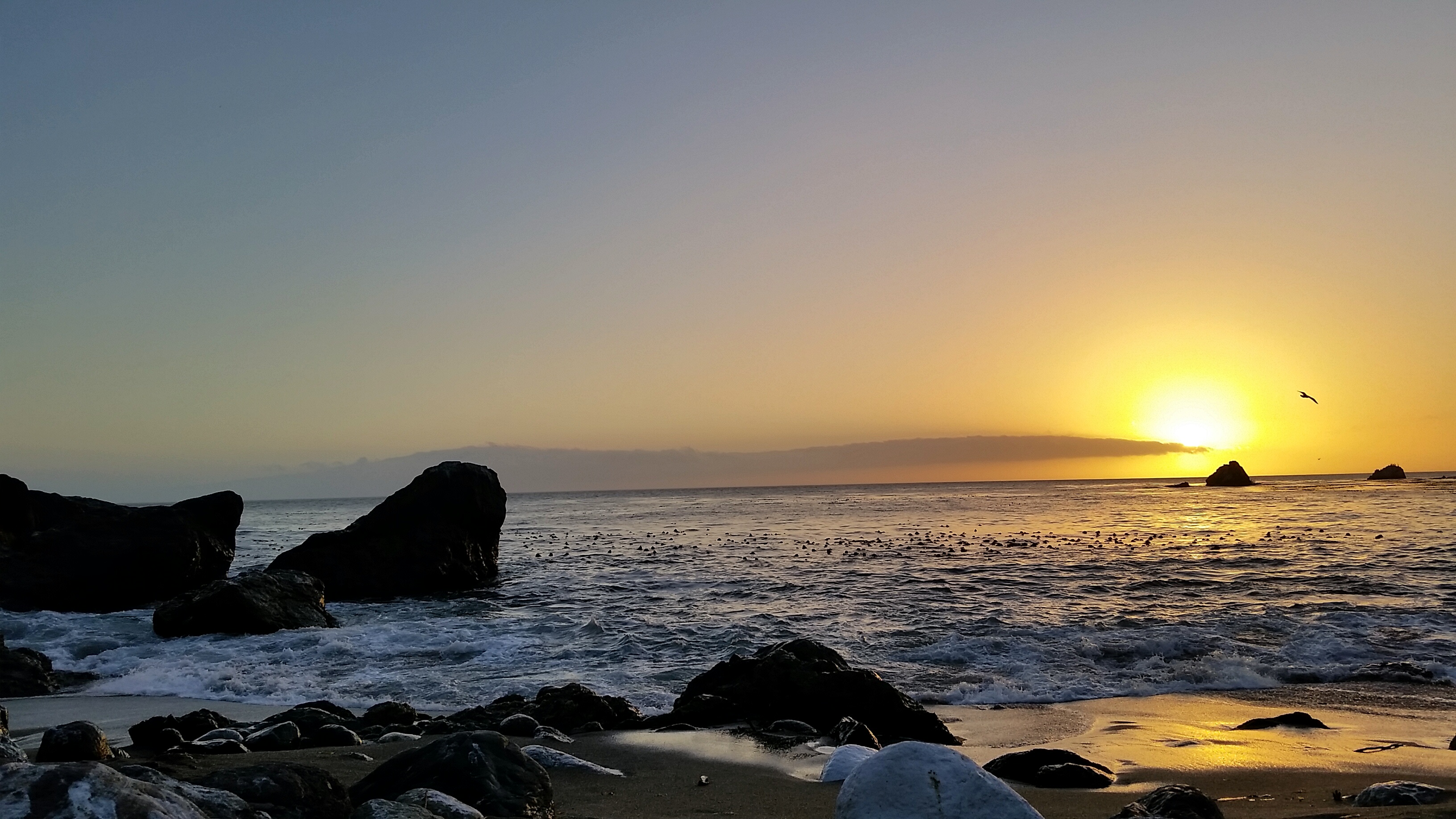 Not pictured: the goofy sea lion who was bobbing up and down in the water at sunset. 