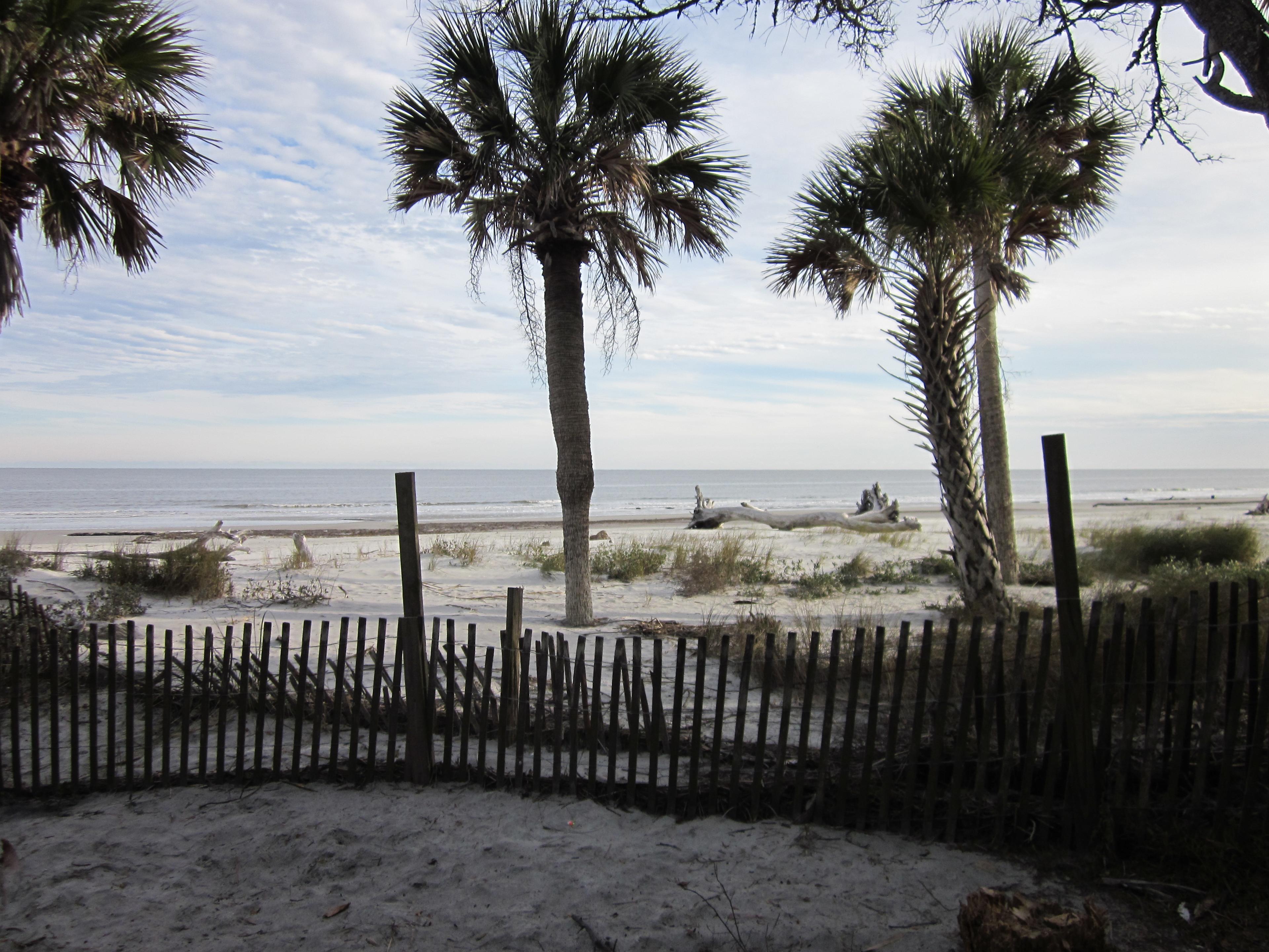 Front Beach in January. We love taking our pop-up there in the winter. Weather is fine and there are less people.