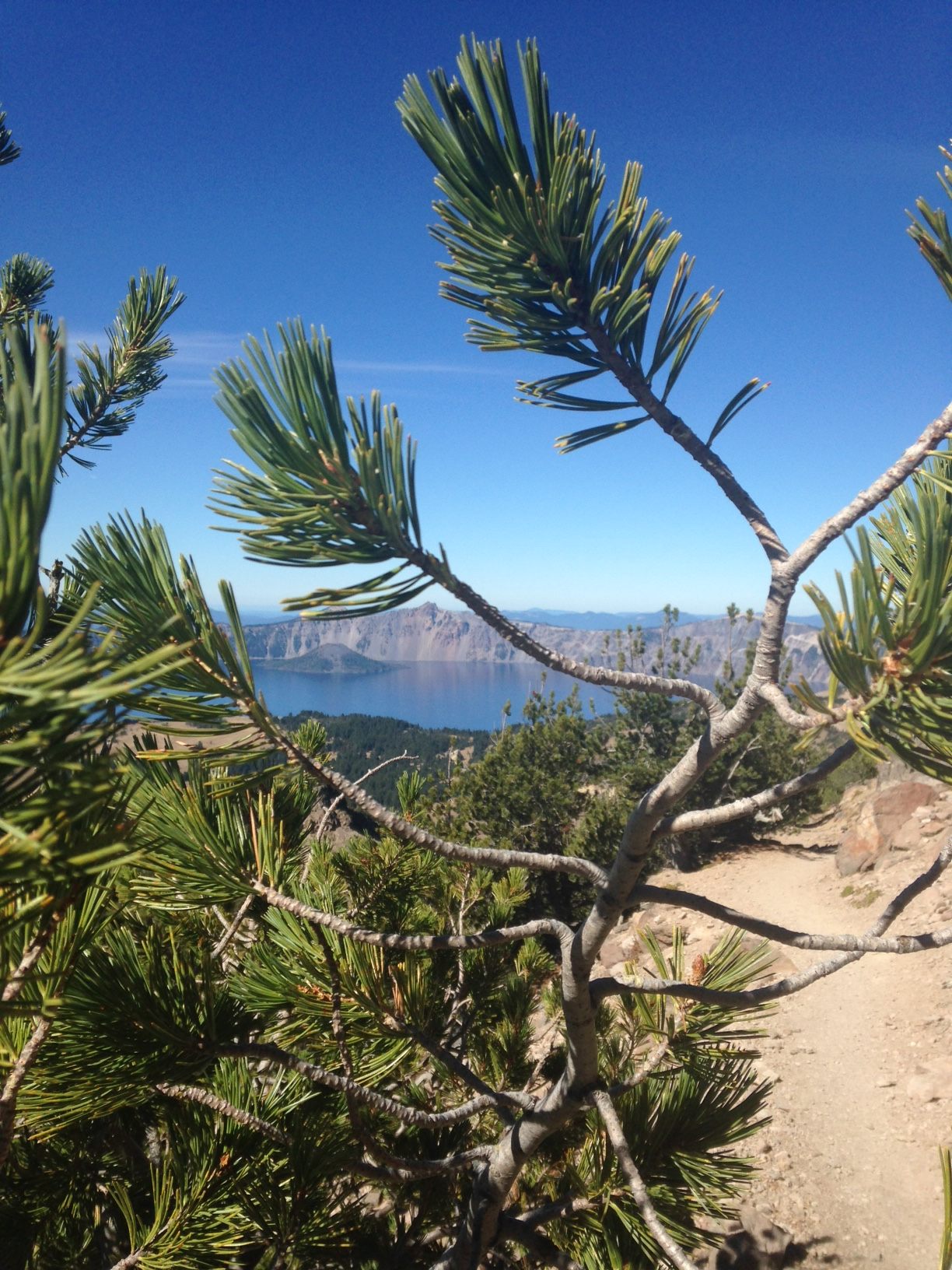 Mazama Village Campground