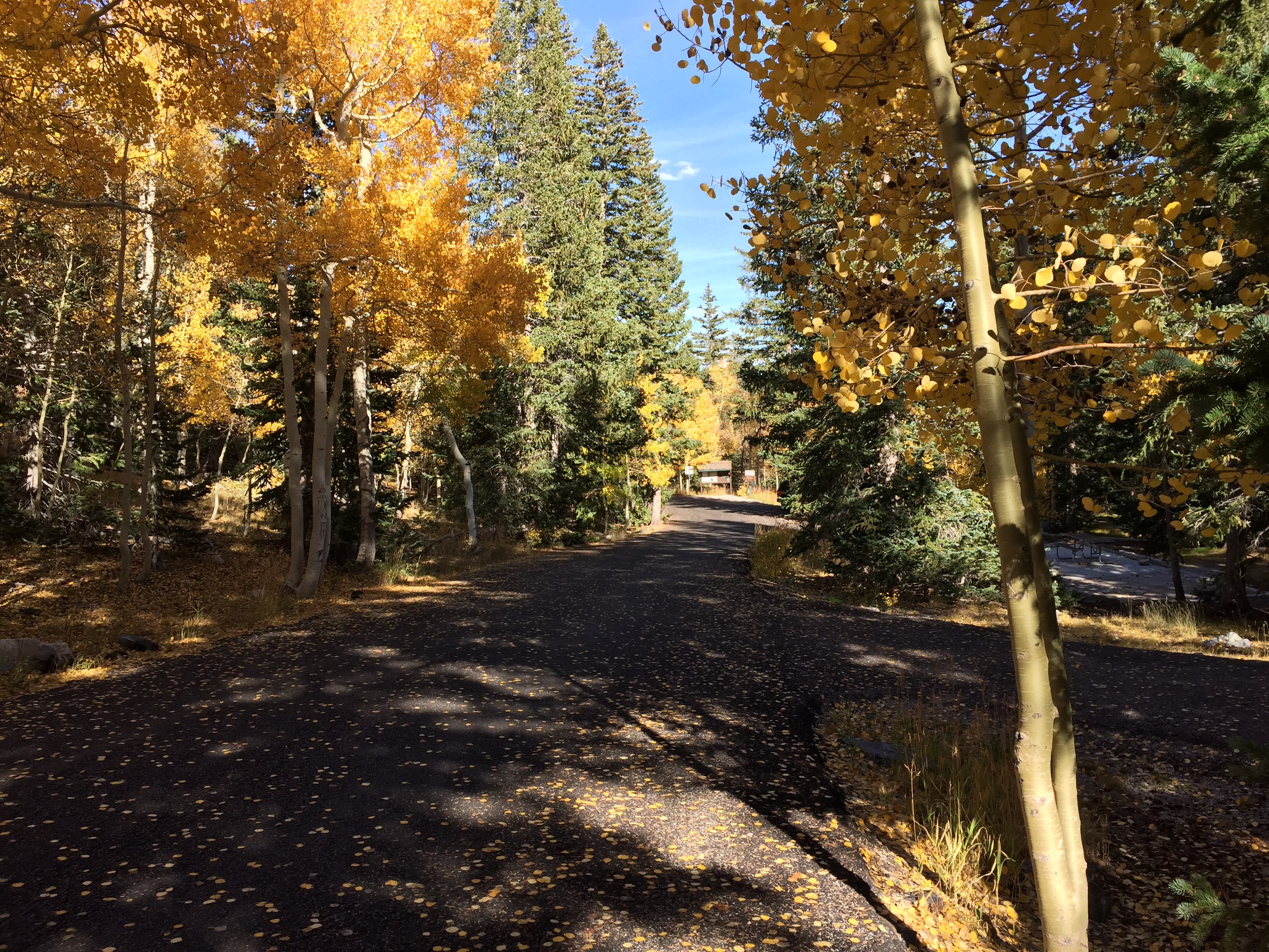 Wheeler Peak Campground