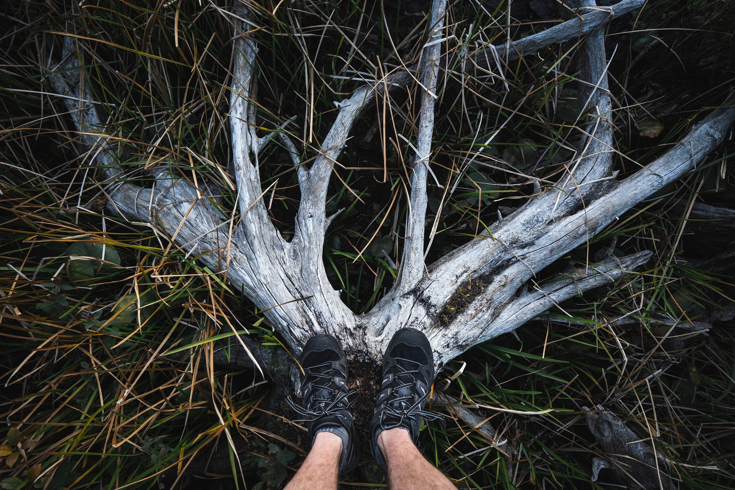 Exploring the beautiful marshlands, making sure to leave no trace and damage as little as possible.