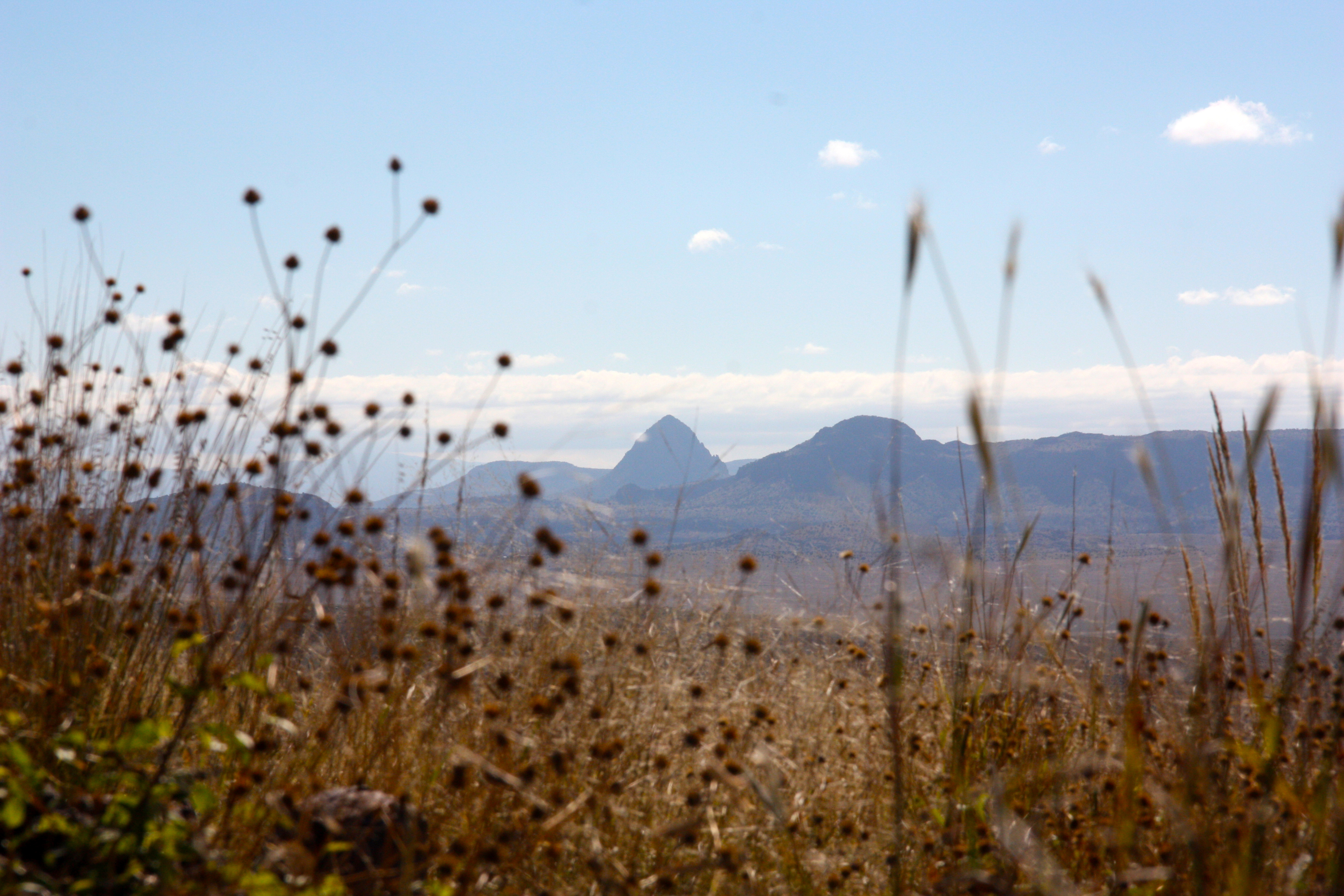Mitre Peak from Skyline Drive Trail. Photo by Lisa Rawlinson.