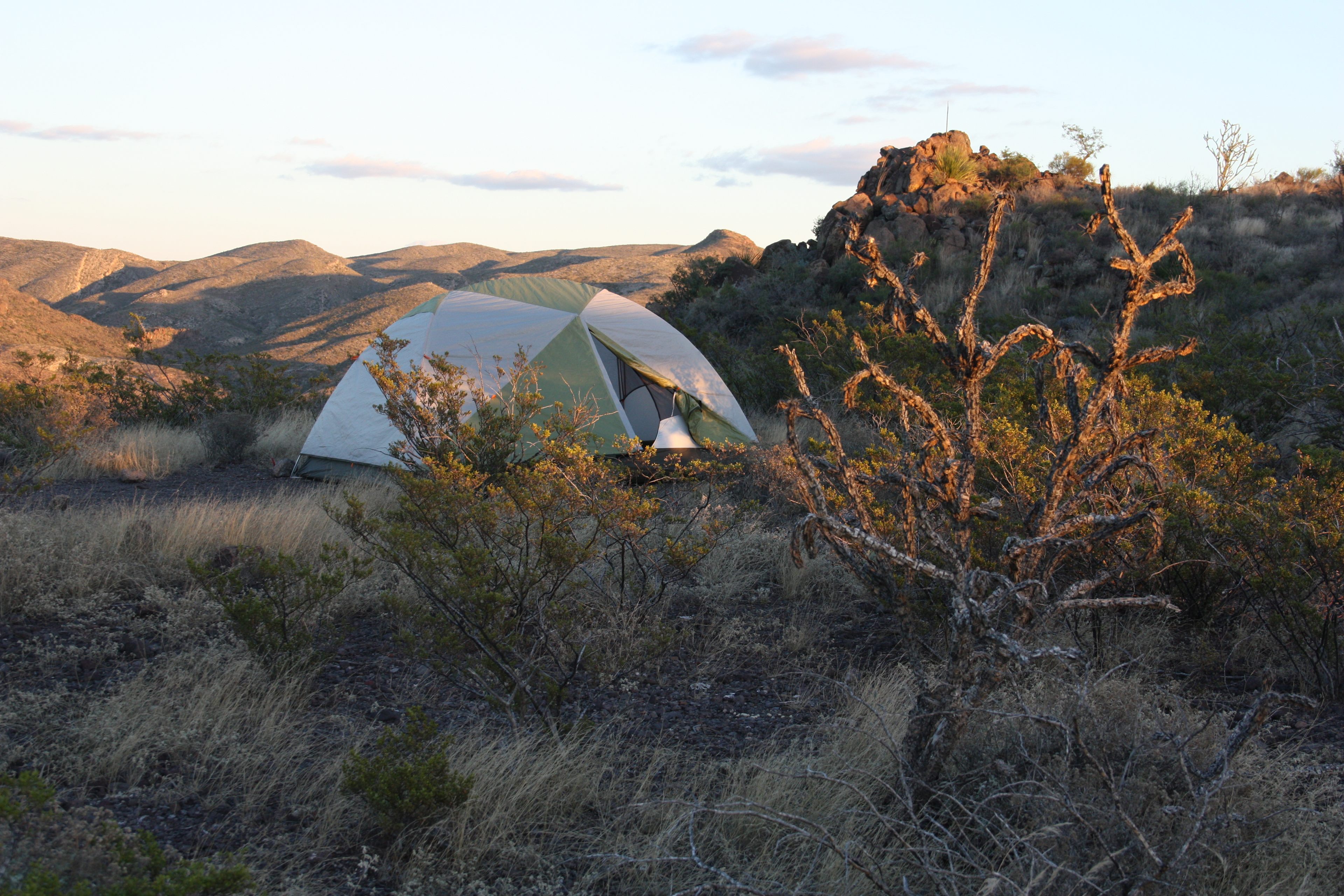 Photo by Lisa Rawlinson.