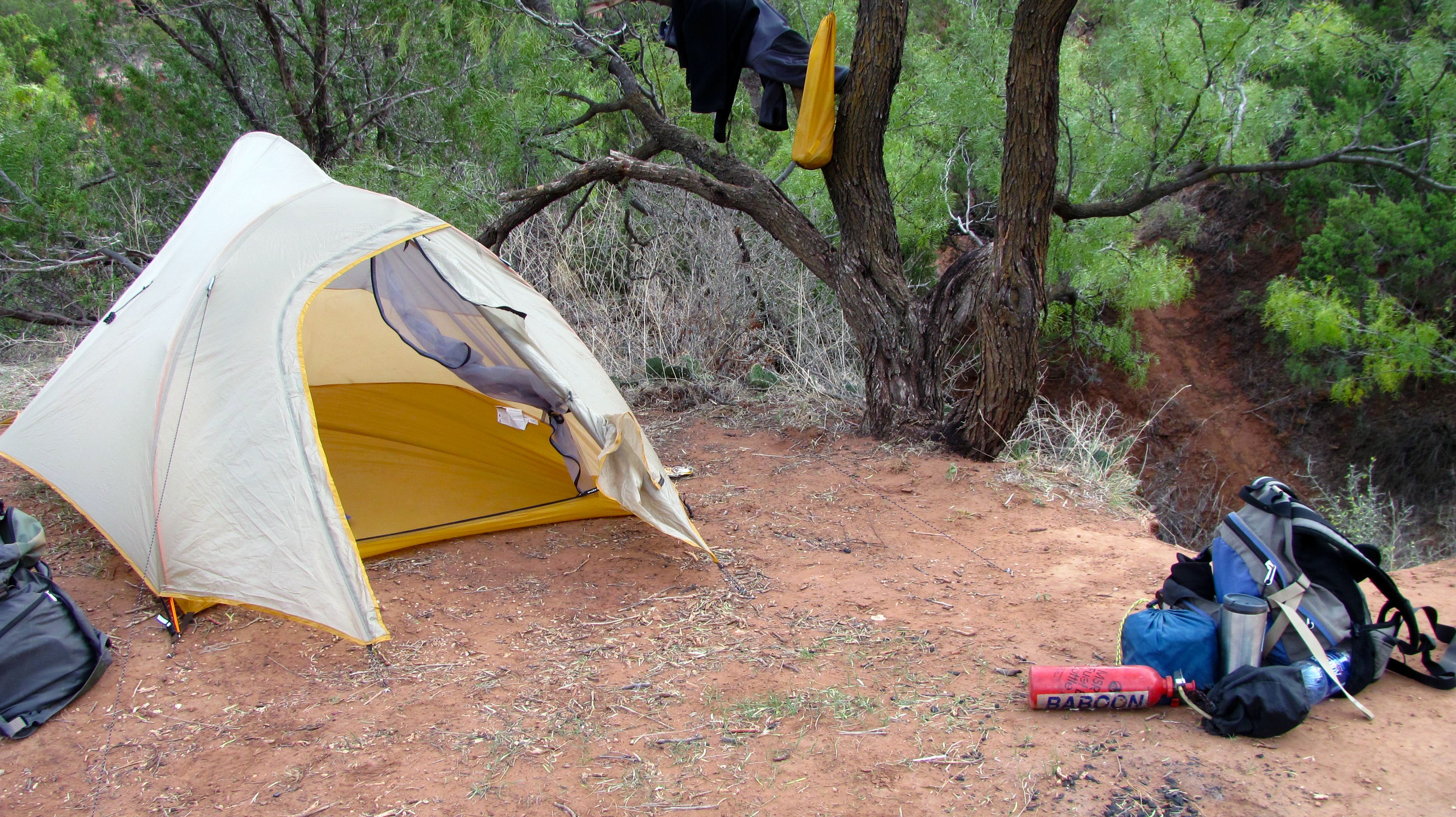 This is about as good as it gets for shade. Photo by Lisa Rawlinson