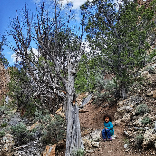 Trail behind Fremont Indian Visitor Center and Museum (great for the littles) WiFi reception available.