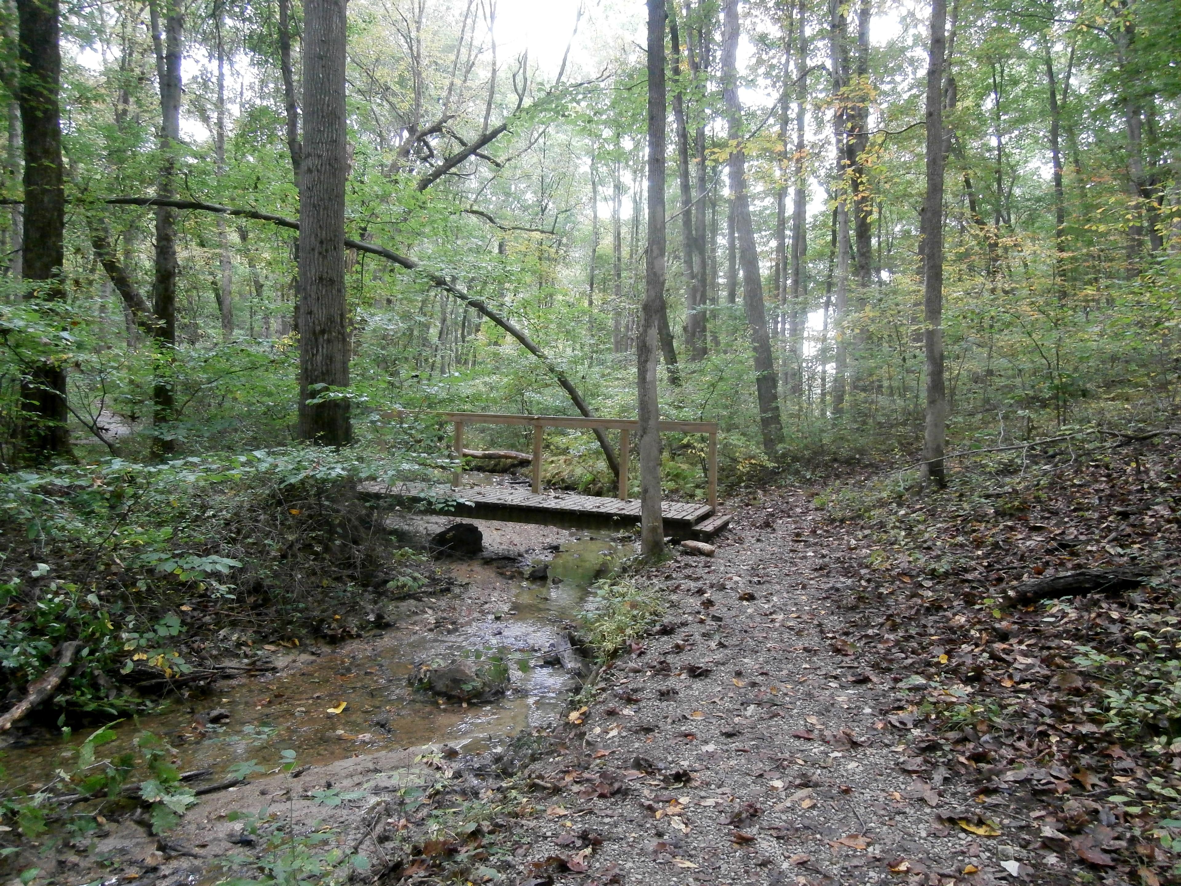 MaryAnn Furnace trail...about 3 plus miles.  Nice but it doesn't go to the actual site of the furnace (which is gone anyways)