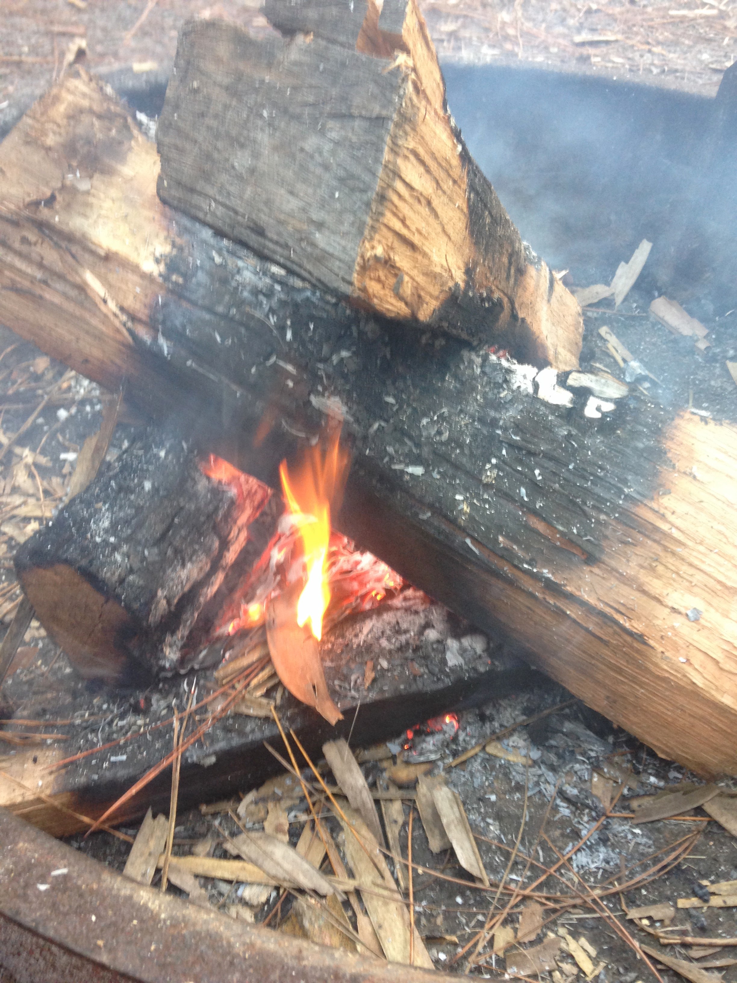 love that they have the fire pits at each campsite and also one by the water for the boat campers! 