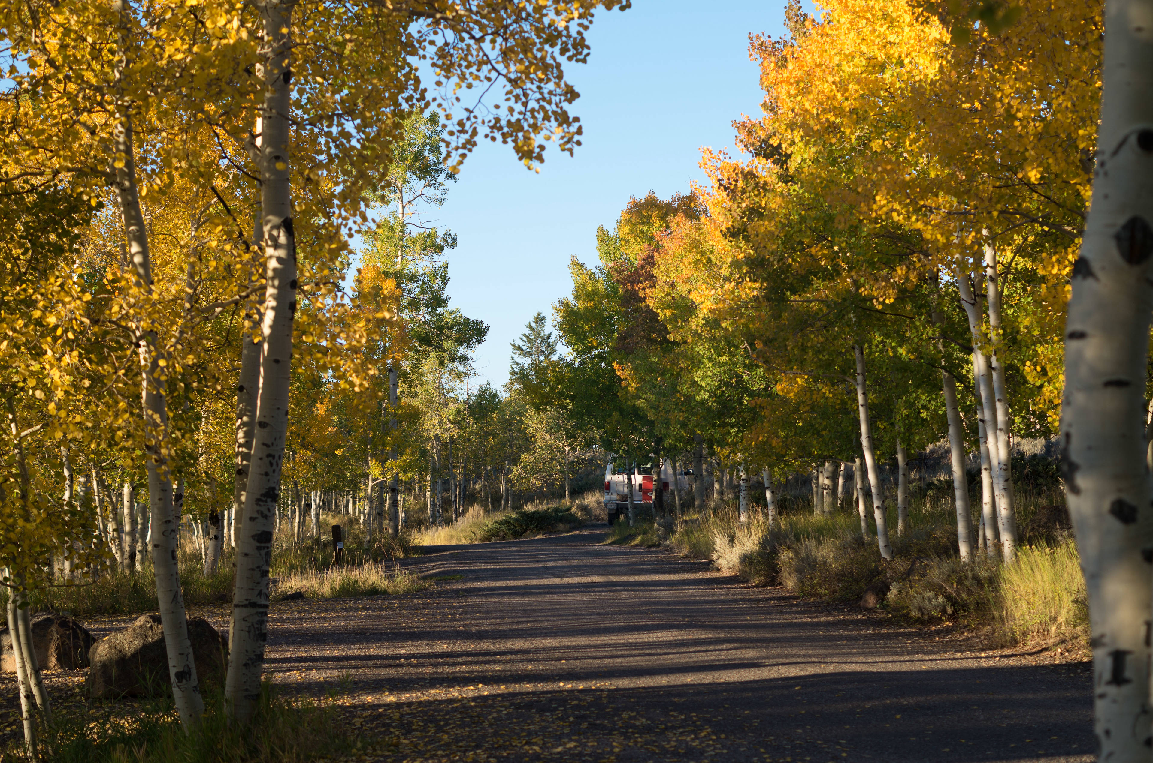 Top loop of campground late September