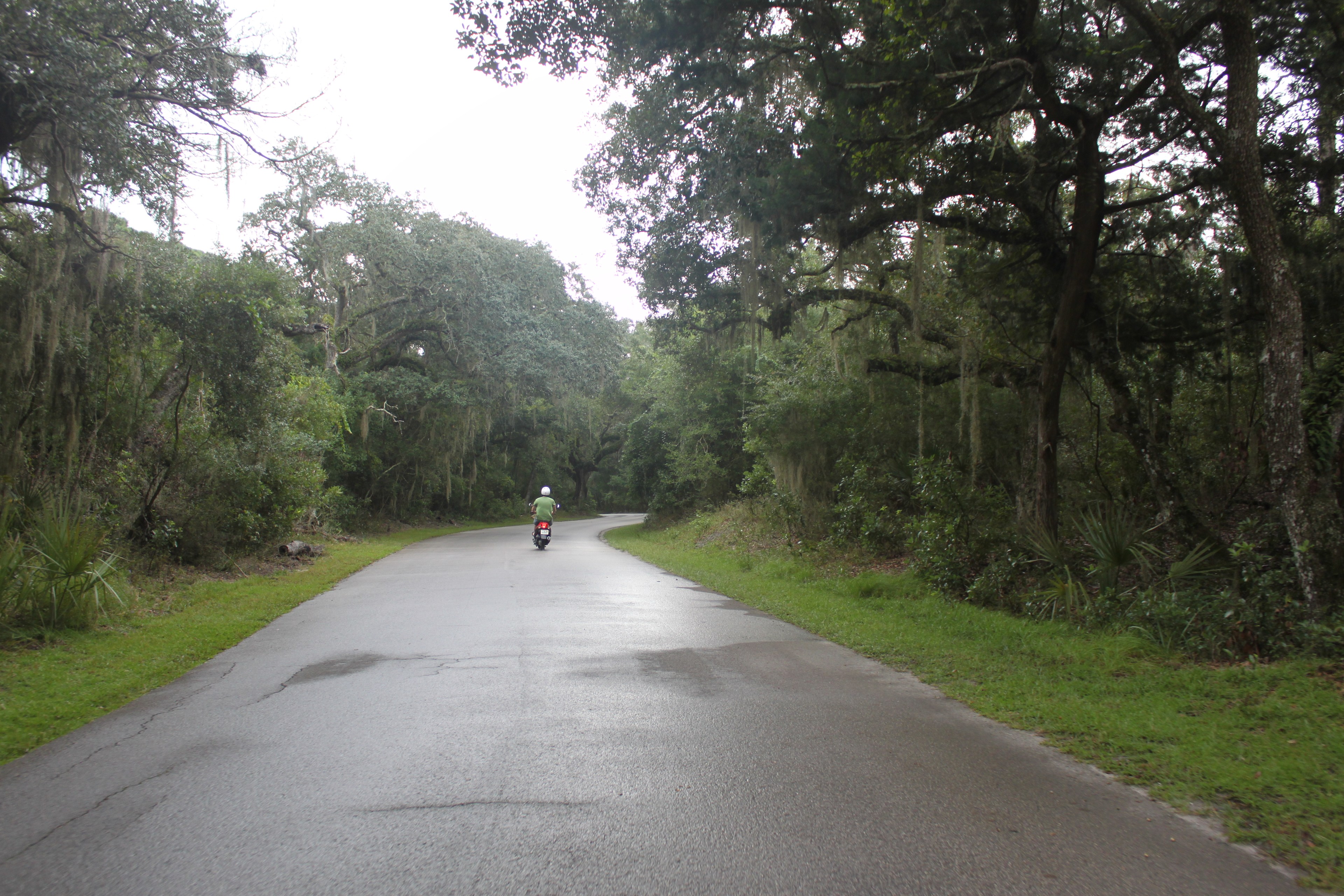 3 mile drive into the park from the entrance, its worth it!