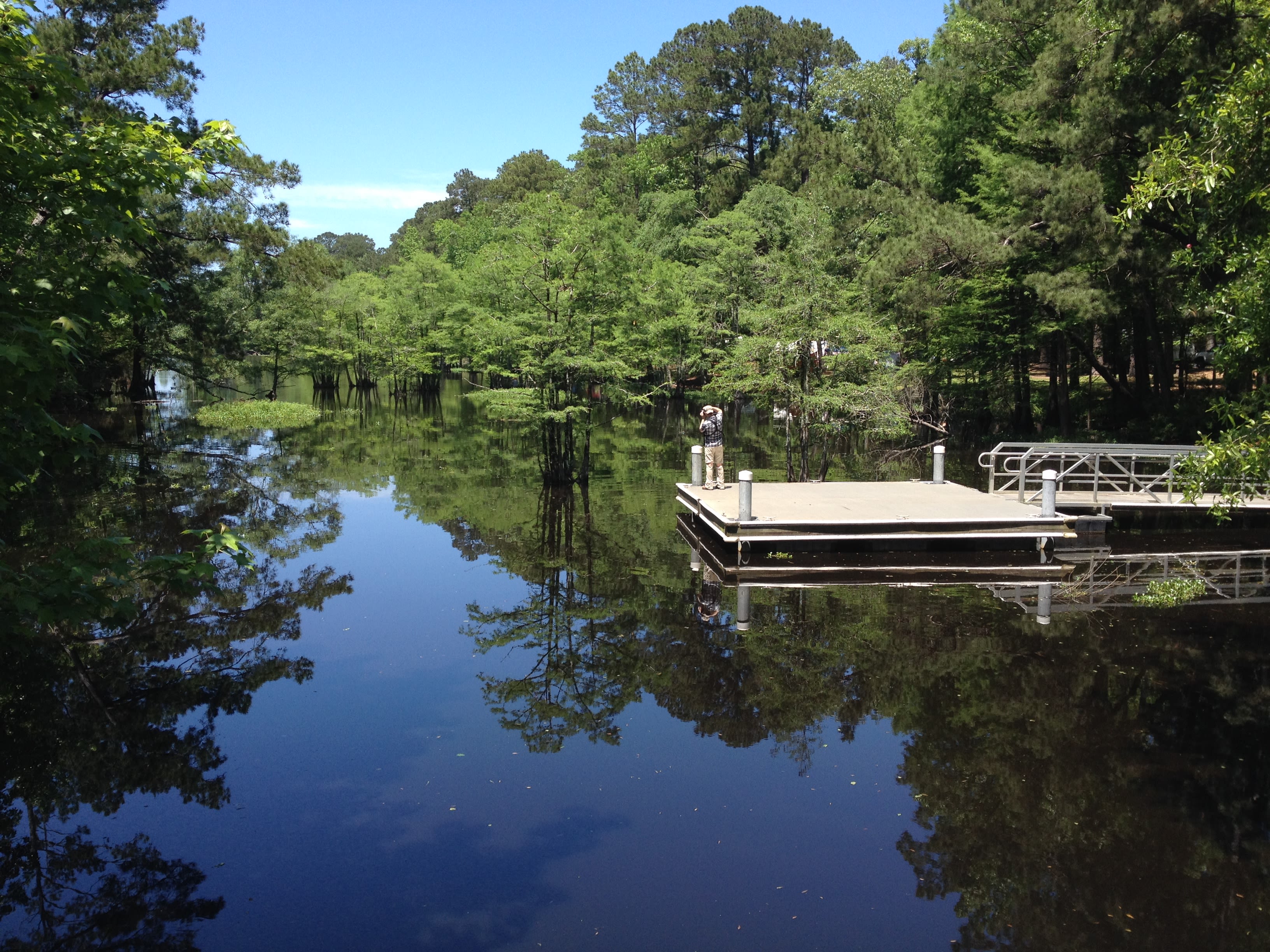 A lot of people were launching kayaks from this dock, which you can rent in the park