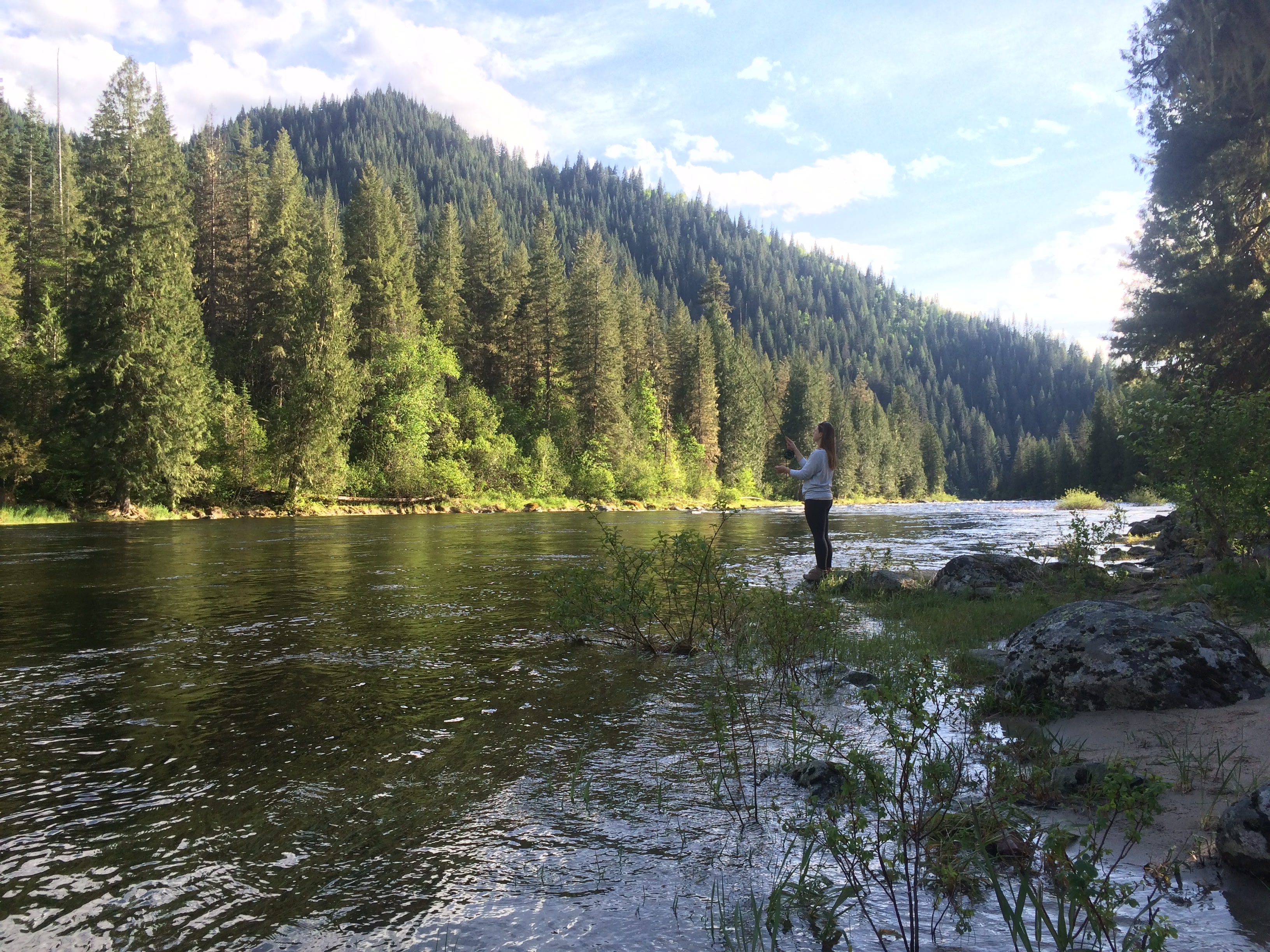 A beautiful spot to tie on a fly, just upstream from the Wilderness Gateway Campground on the Lochsa River.  