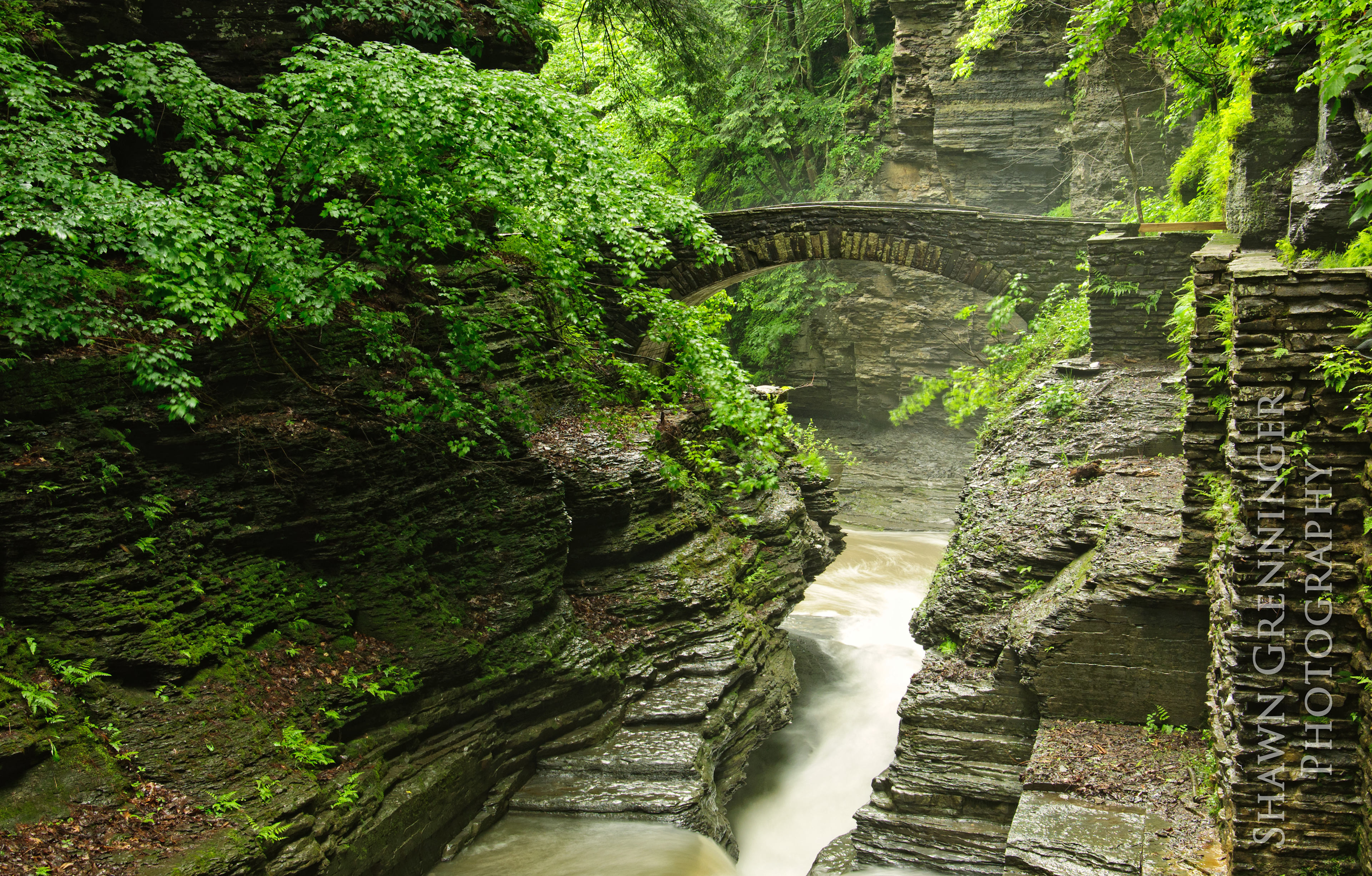 Footbridge on the upper end of the gorge trail
