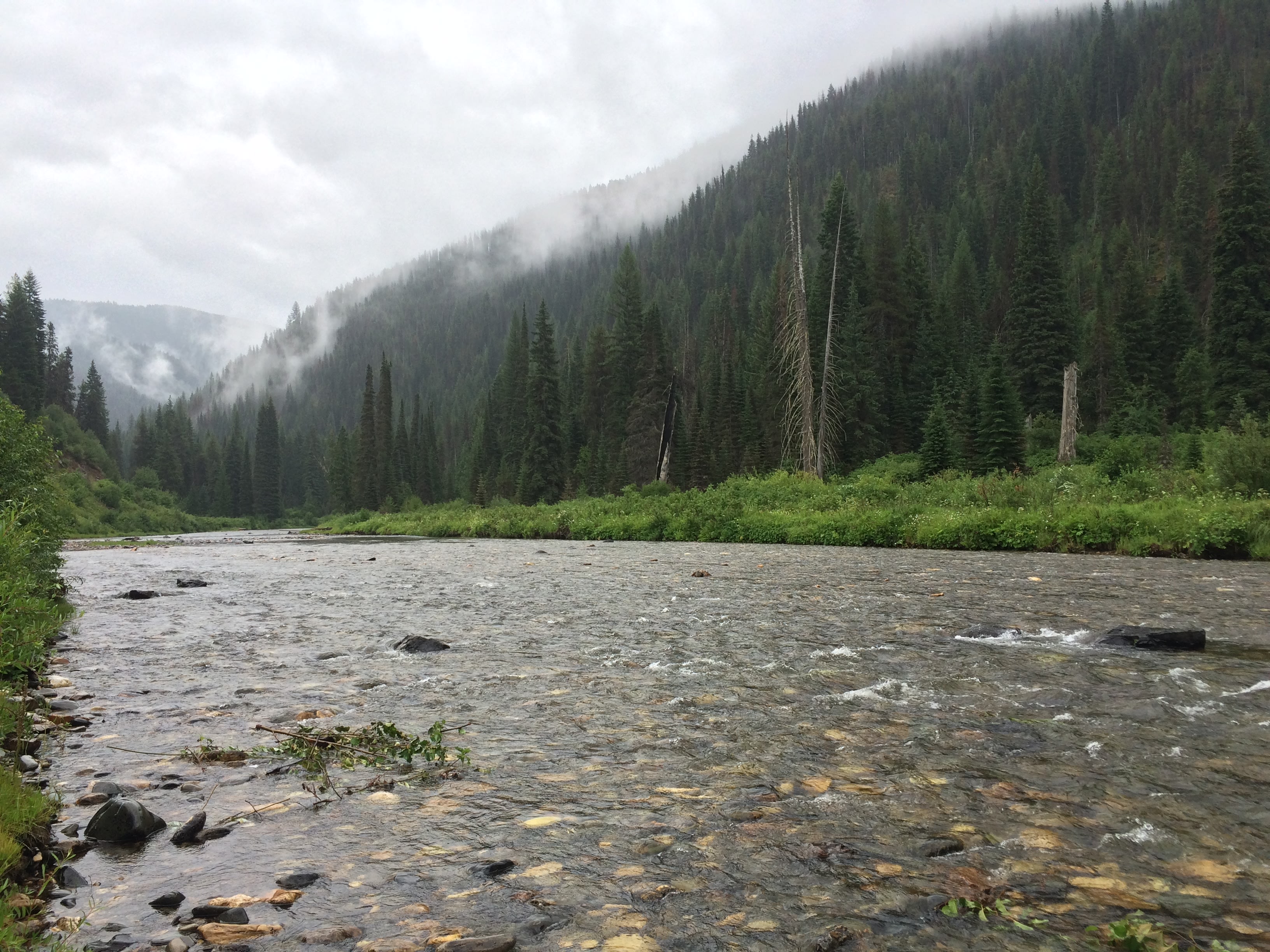 A much needy rainy day on the St. Joe River this summer near Fly Flat Campground after several weeks of devastating fires in the region.  