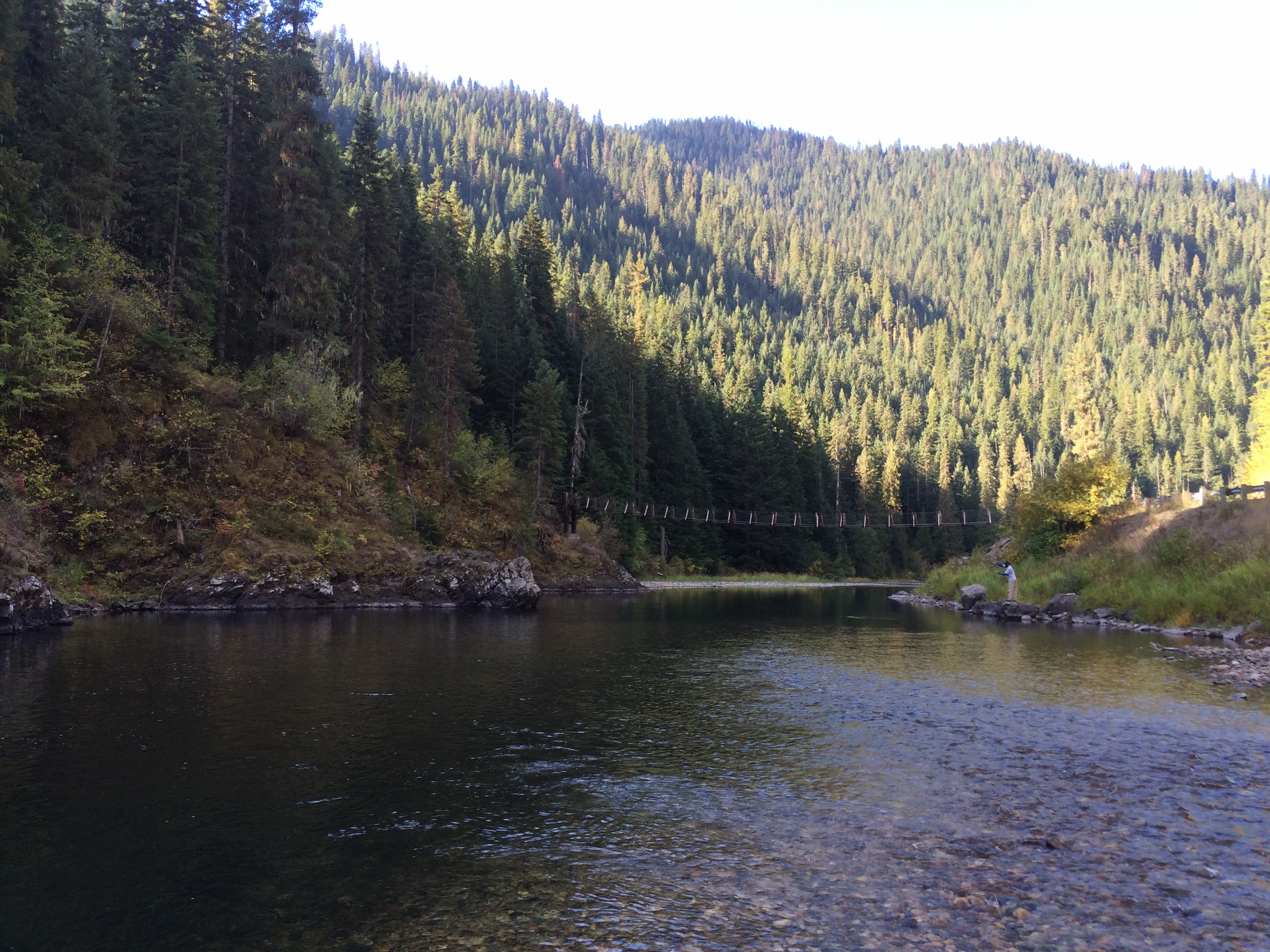 Turner Flat Campground sits on a wide, flat section of the St. Joe River.