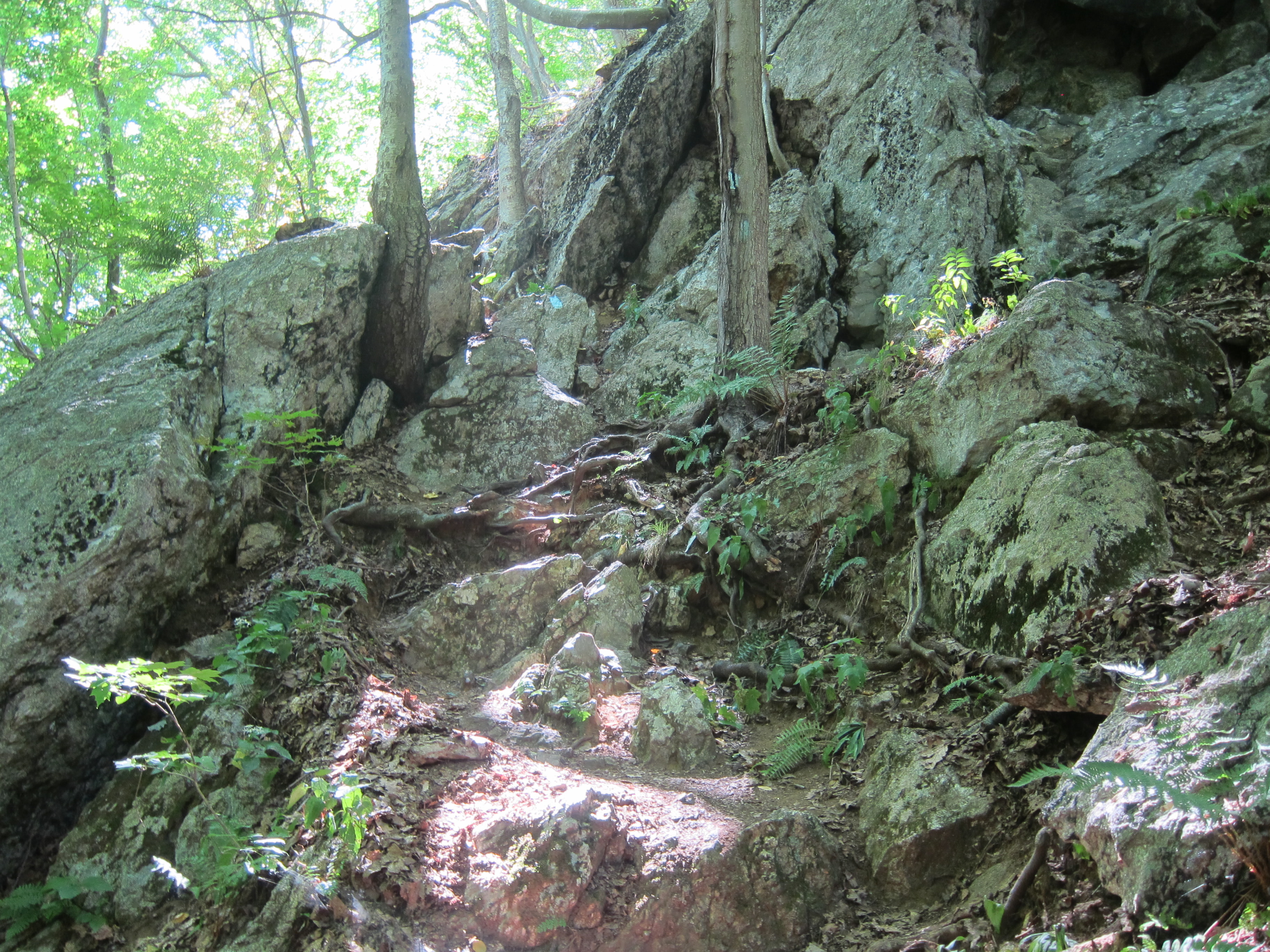 One fun scramble portion of the circuit makes for a little climb fun. Campgrounds nearby are a good spot to refill water bottles. 