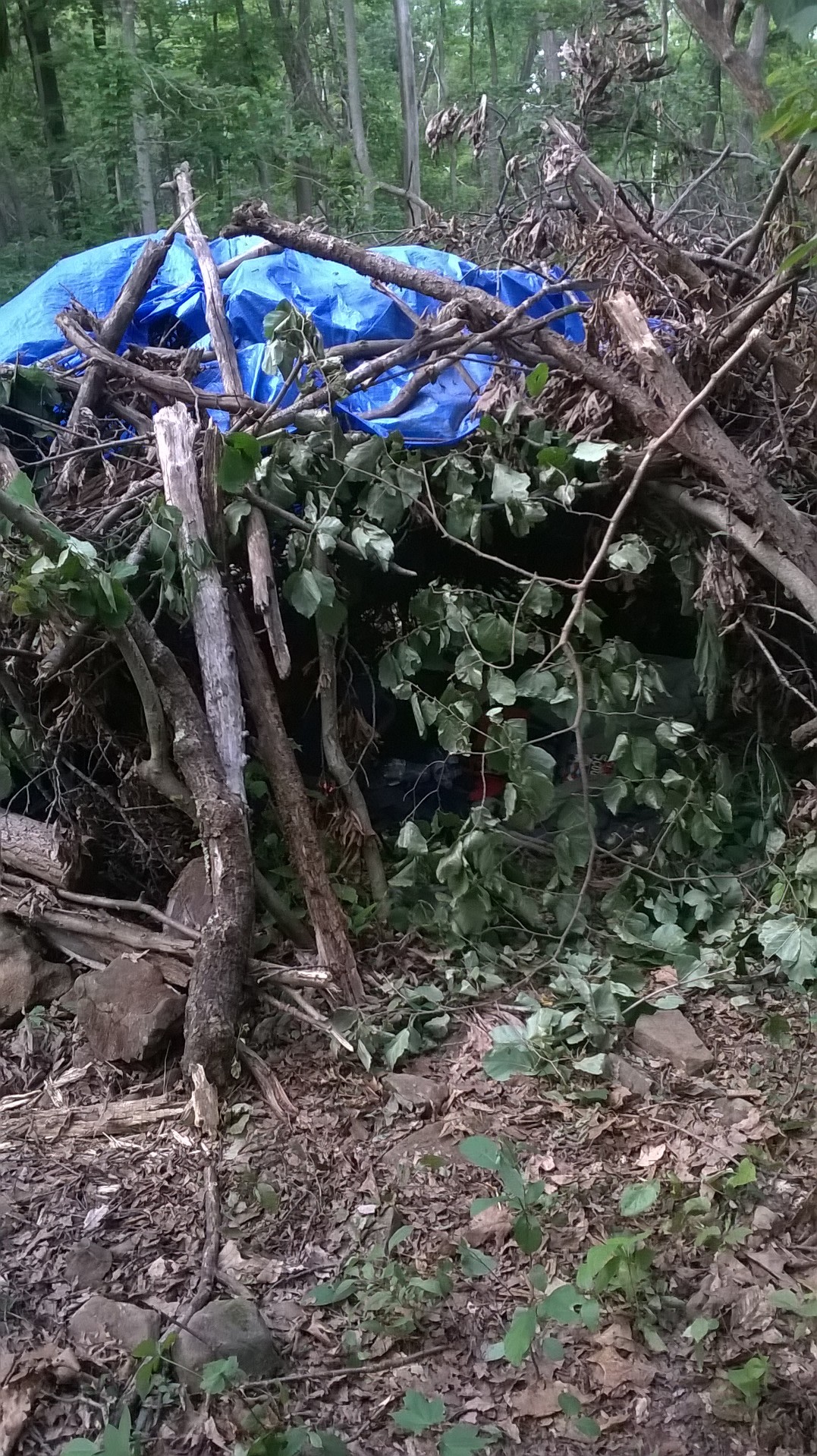 Playing in the woods at Nockamixon State showing scouts how to build an emergency shelter.  - (Can only camp in designated sites)