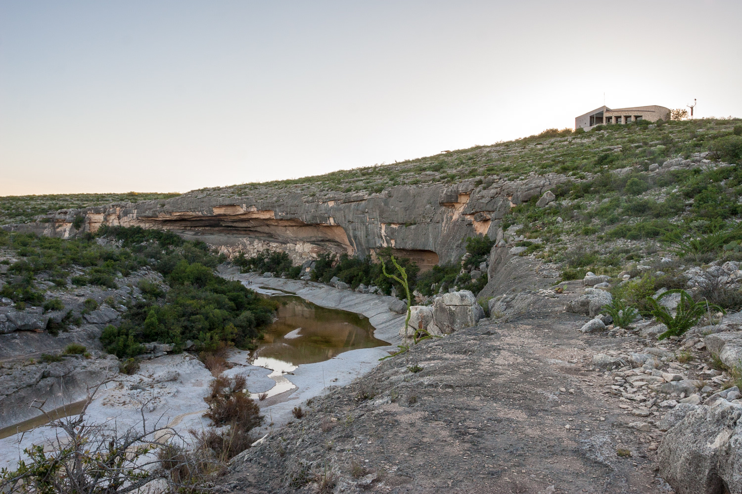 Javelinas below, Visitors Center above