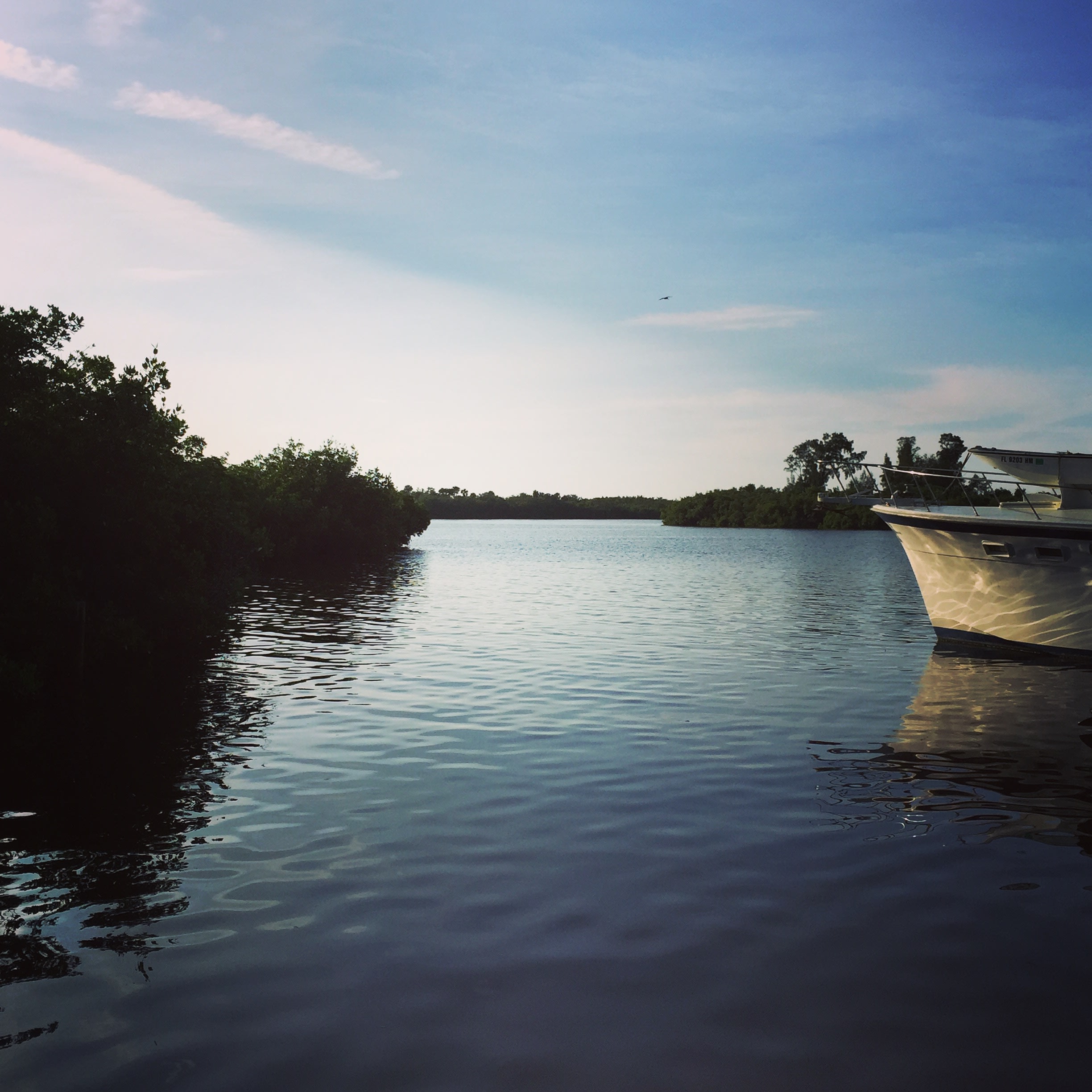 The view from the marina is gorgeous! 