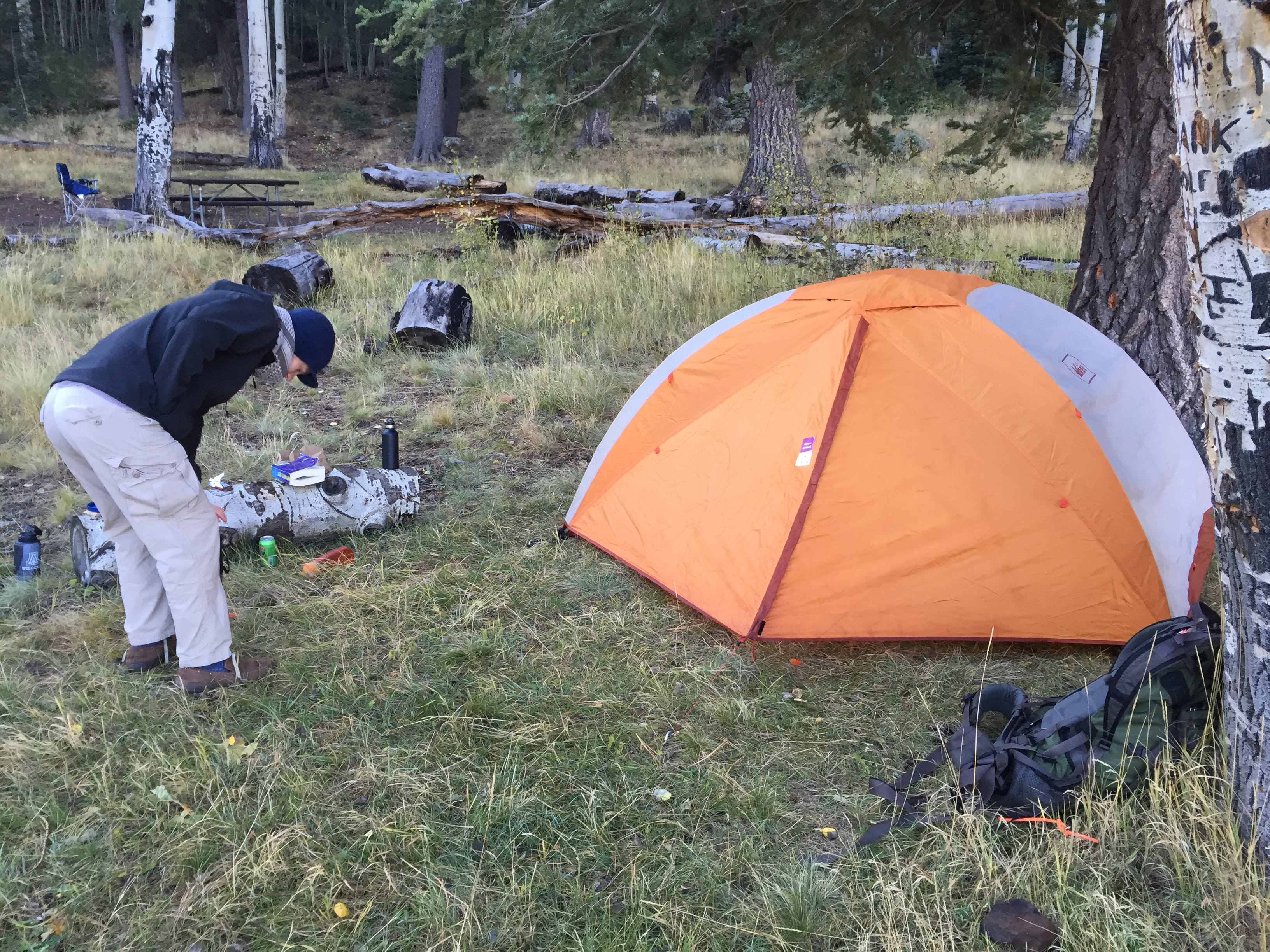 The Half-Dome XL tent set up under the pines and aspens of Lockett Meadow.