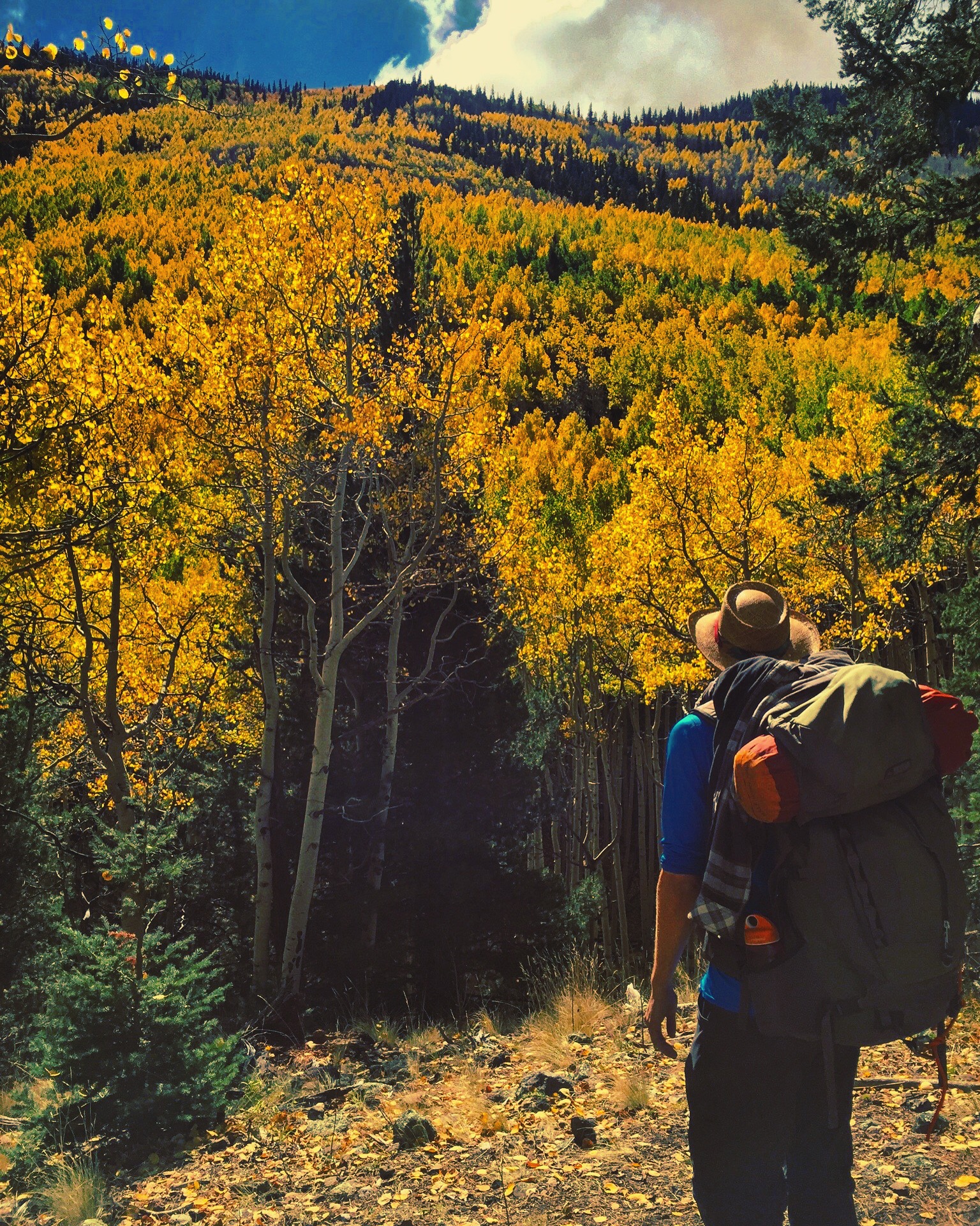 Within one mile of the Inner Basin trail, views like this are everywhere. Even if you don't camp at Locket Meadow, head up for a fall foliage day-hike.
