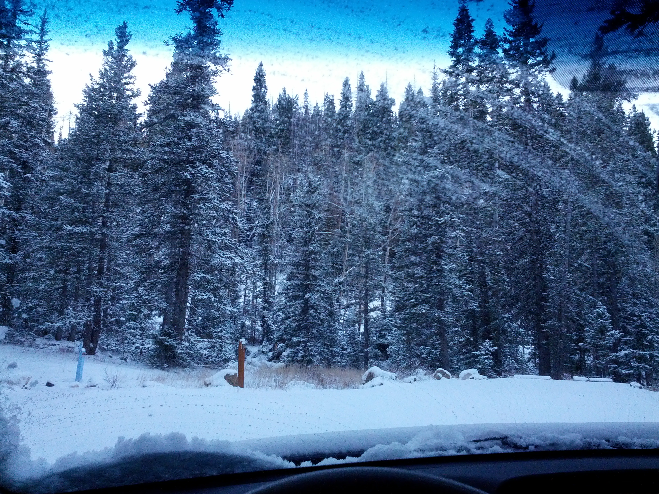 It was definitely a cold morning as I got ready to leave...