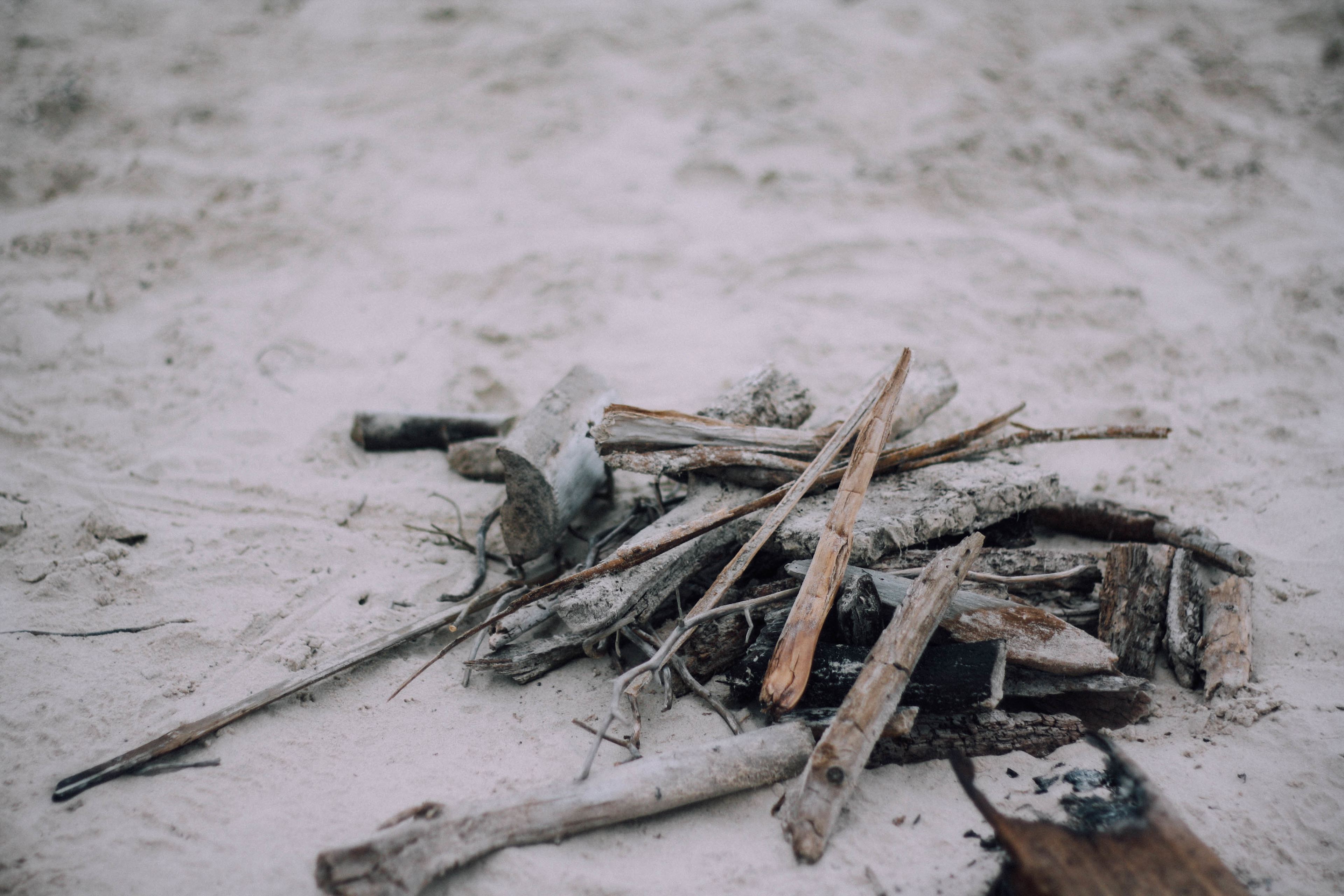 South Beach Campground