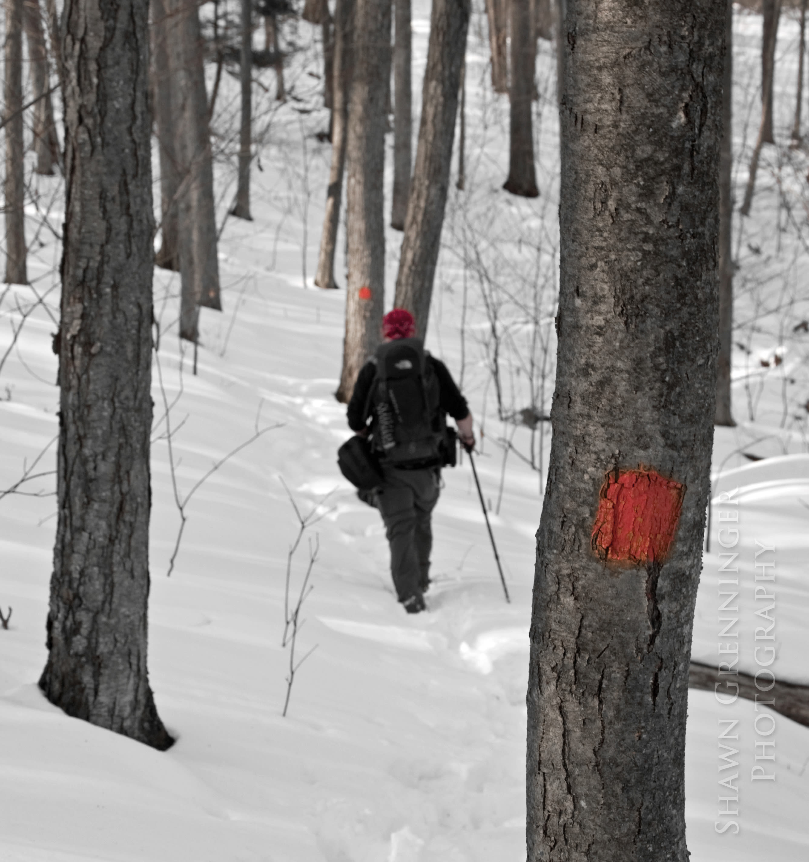 West Rim Trail near Colton Point State Park