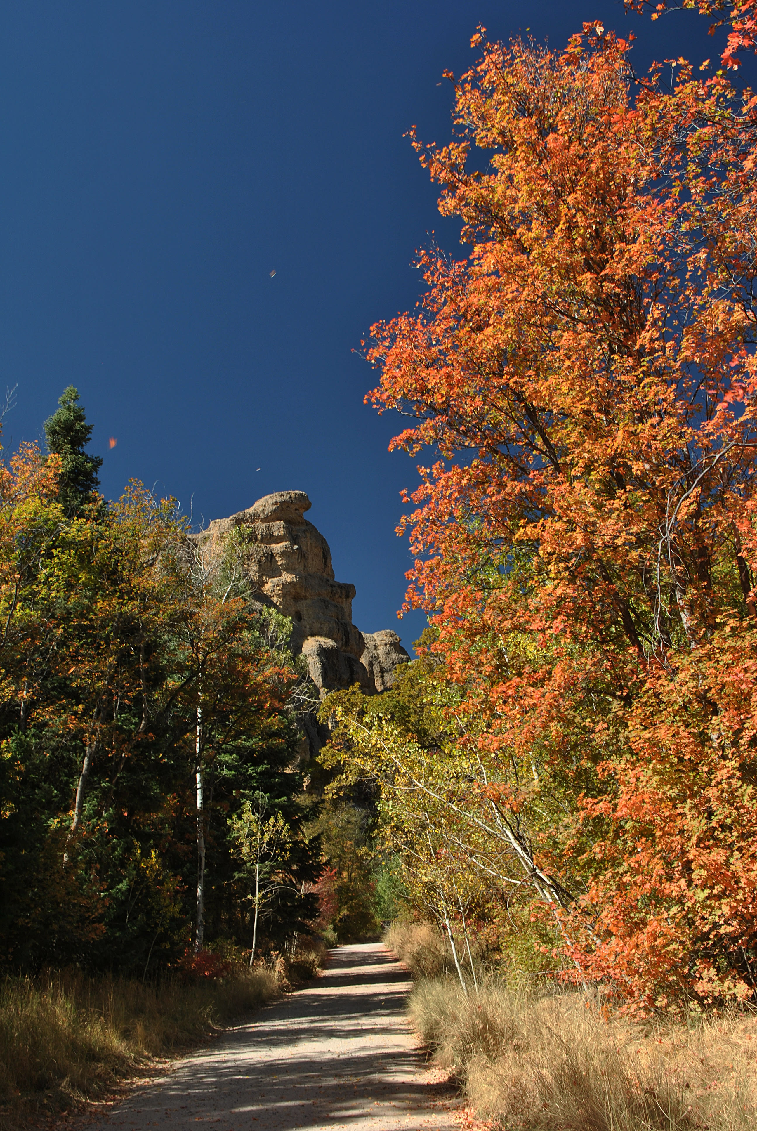 Maple Canyon Campground