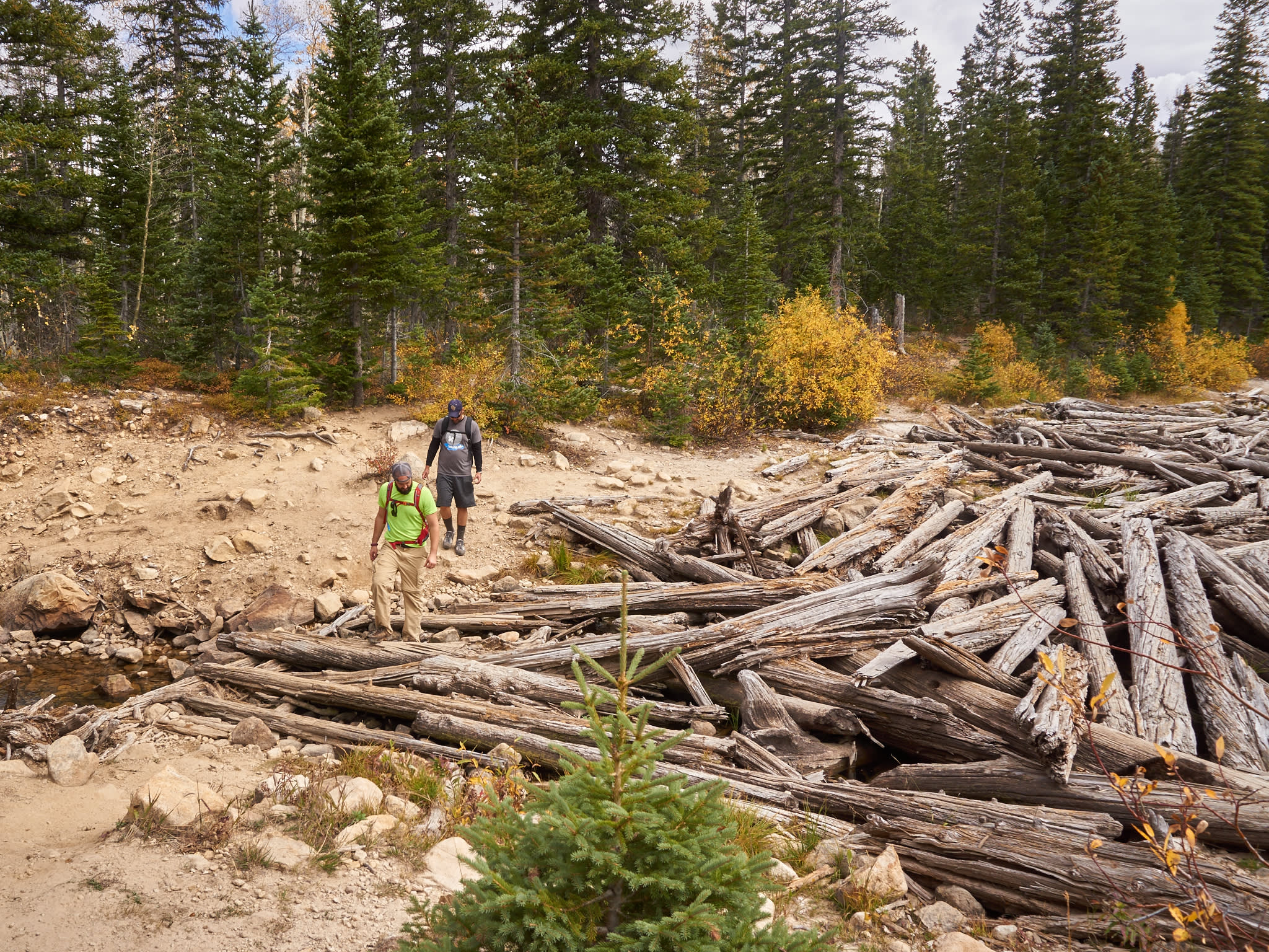 Alpine lakes, babbling creeks, cascading waterfalls, and natural log bridges all can be found on the nearby Three Lakes Loop. 