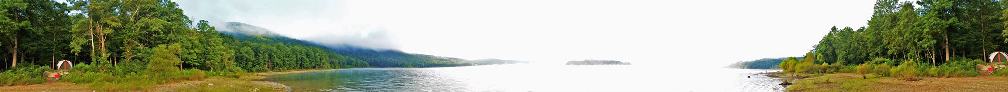 Just us and the birds and the fishes