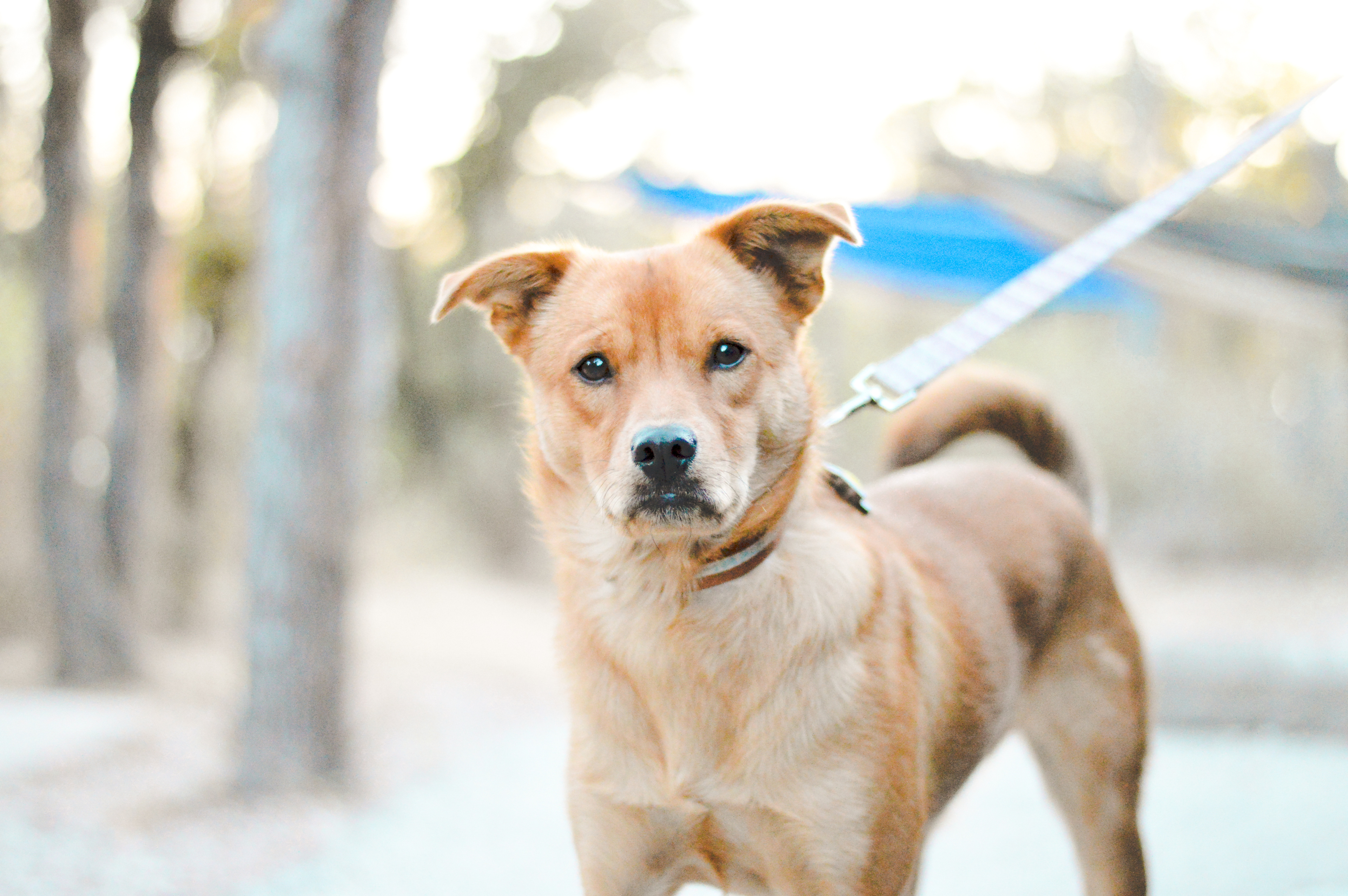 Lake Mineral Wells State Park