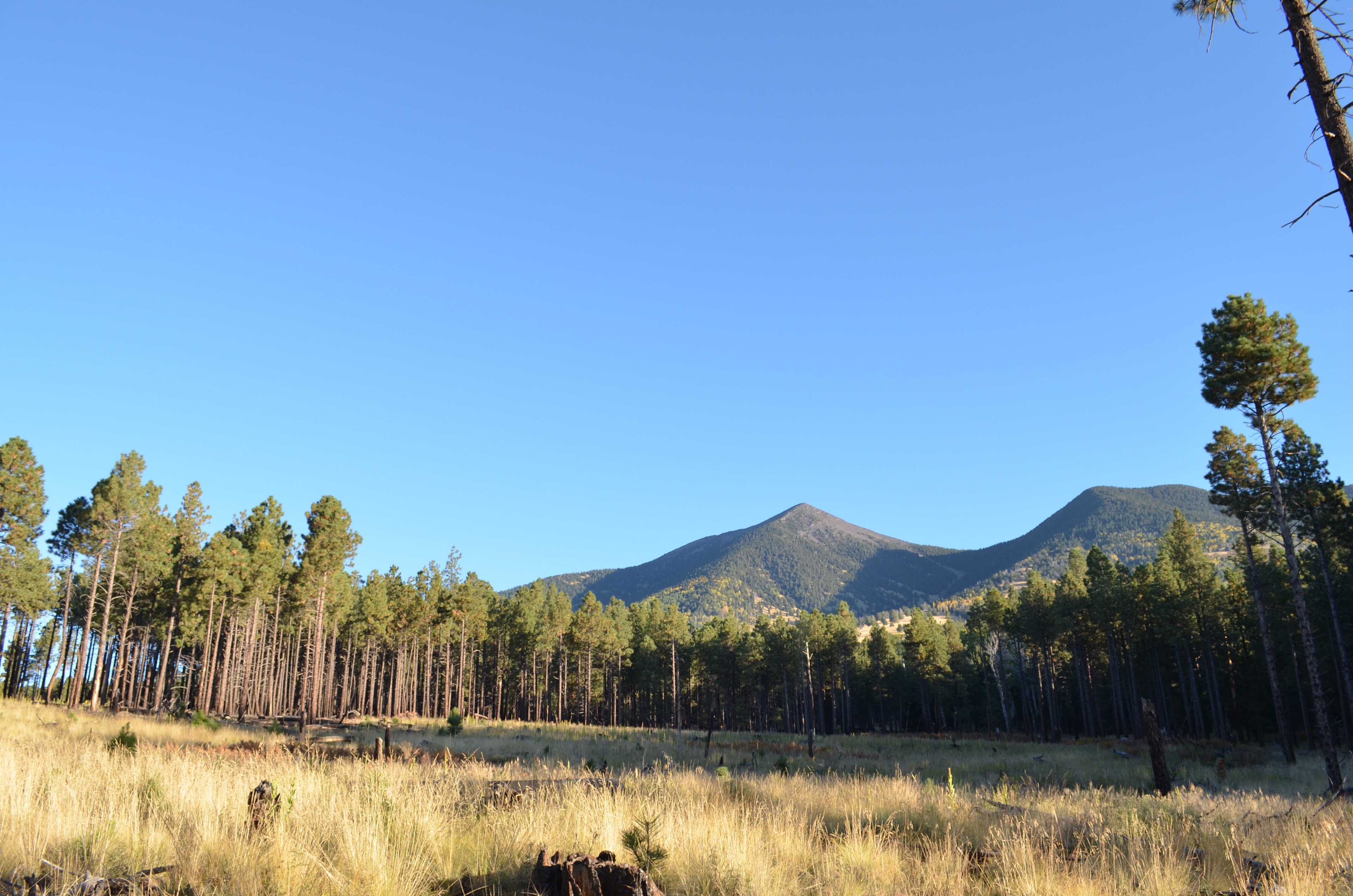 Freidlein Prairie Dispersed Camping